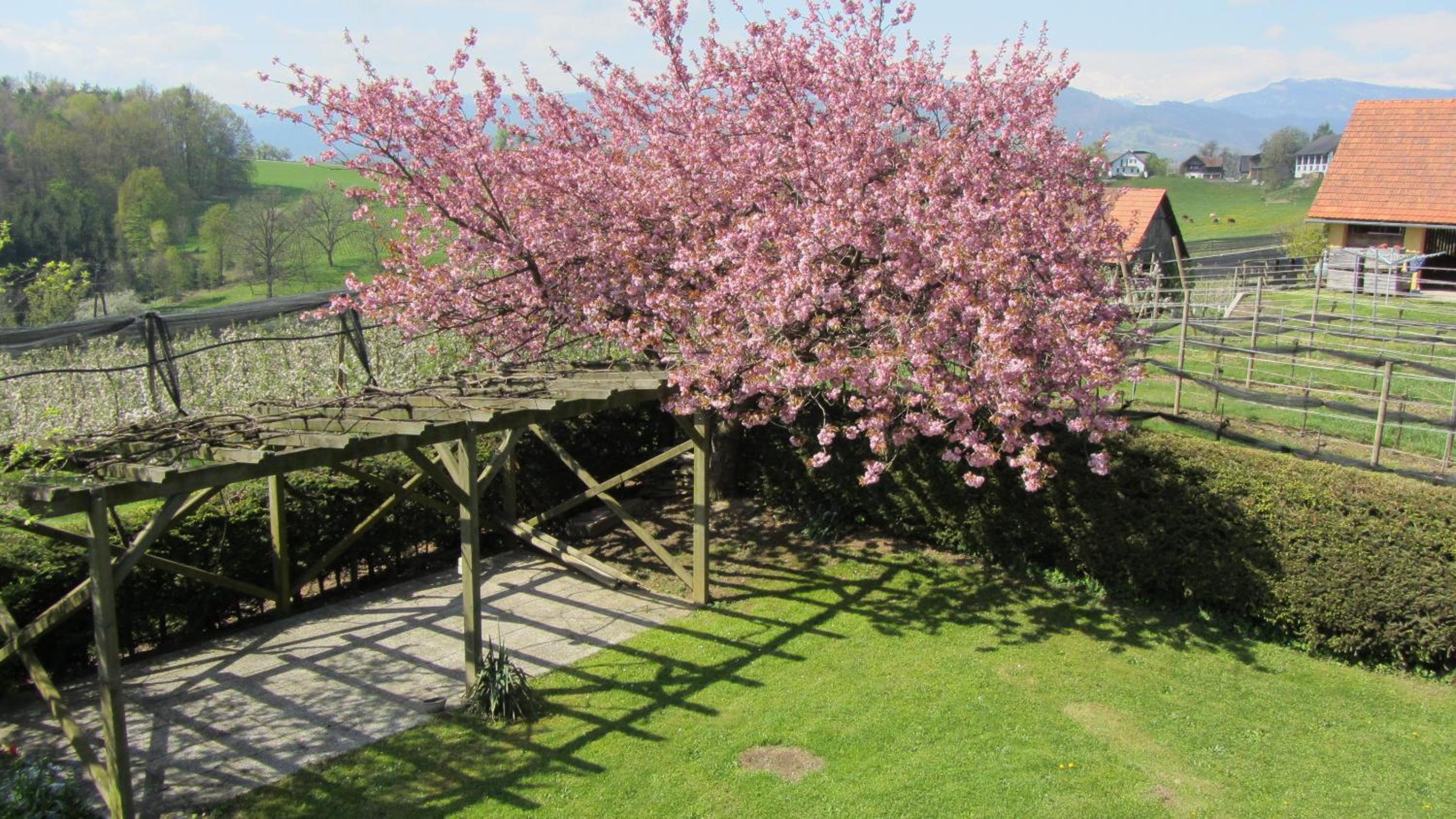 Pension Maria Wallner