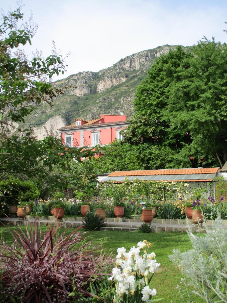 La Gallina Felice B&B photo 4