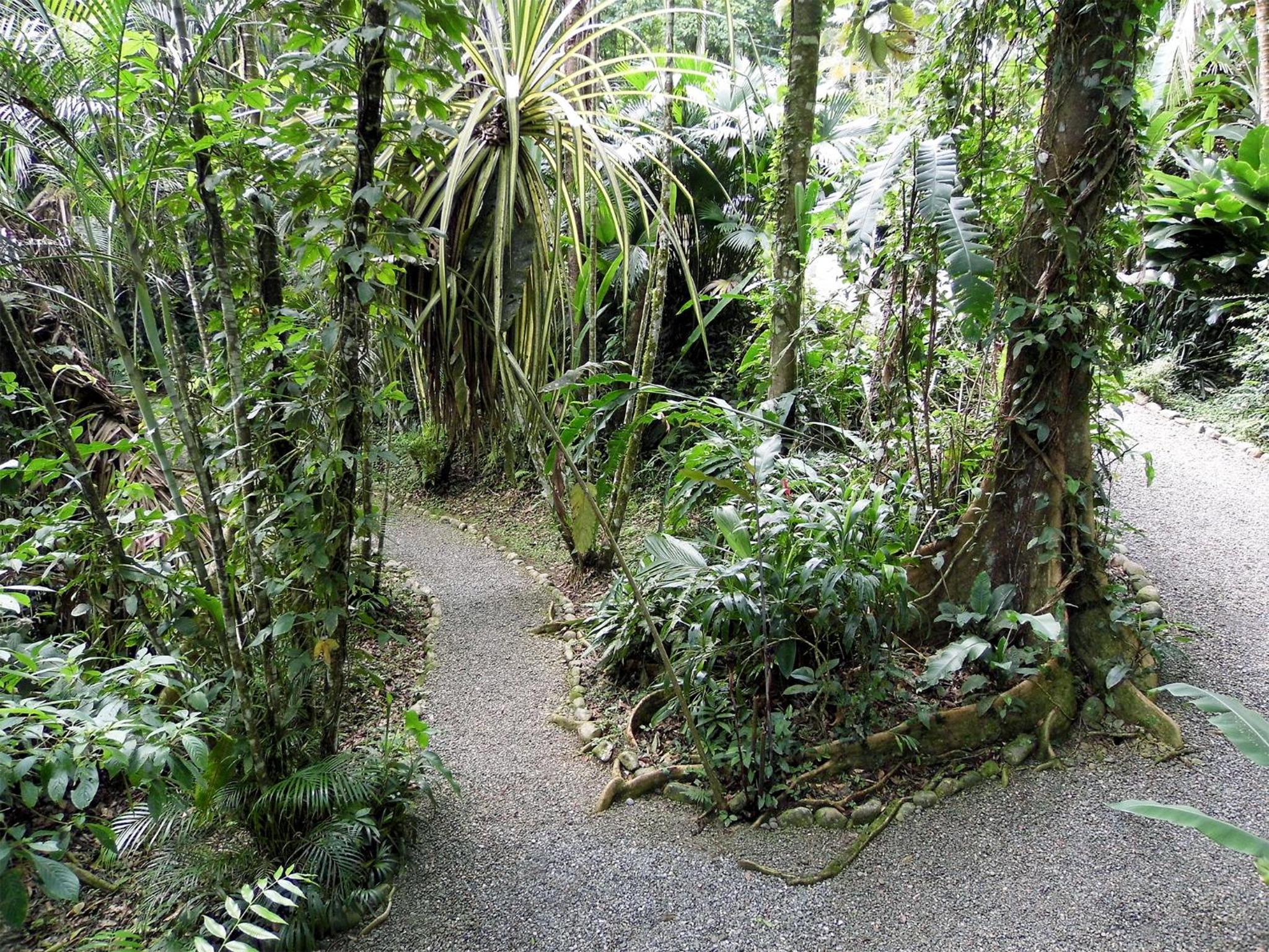 El Colibri Lodge