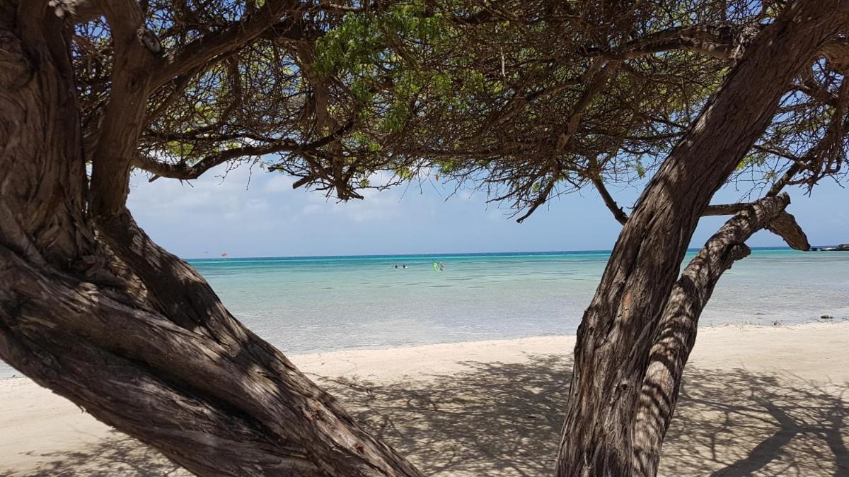 Aruba Beach Villas