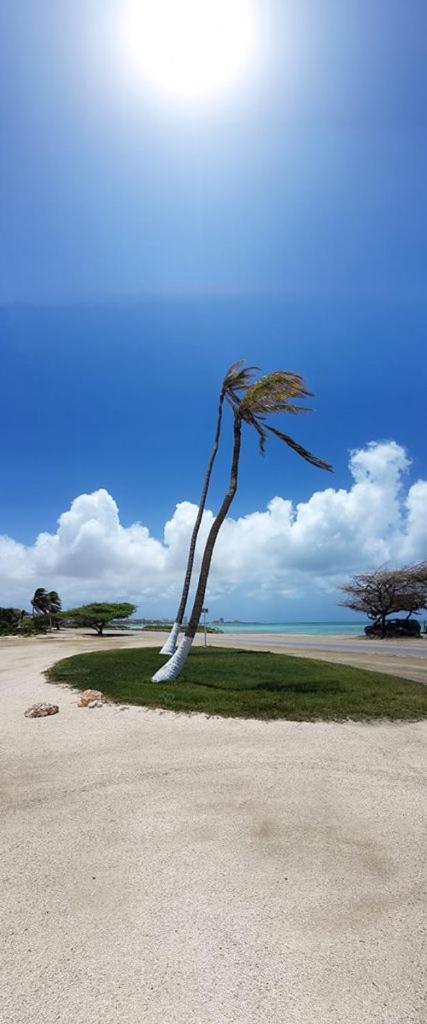 Aruba Beach Villas