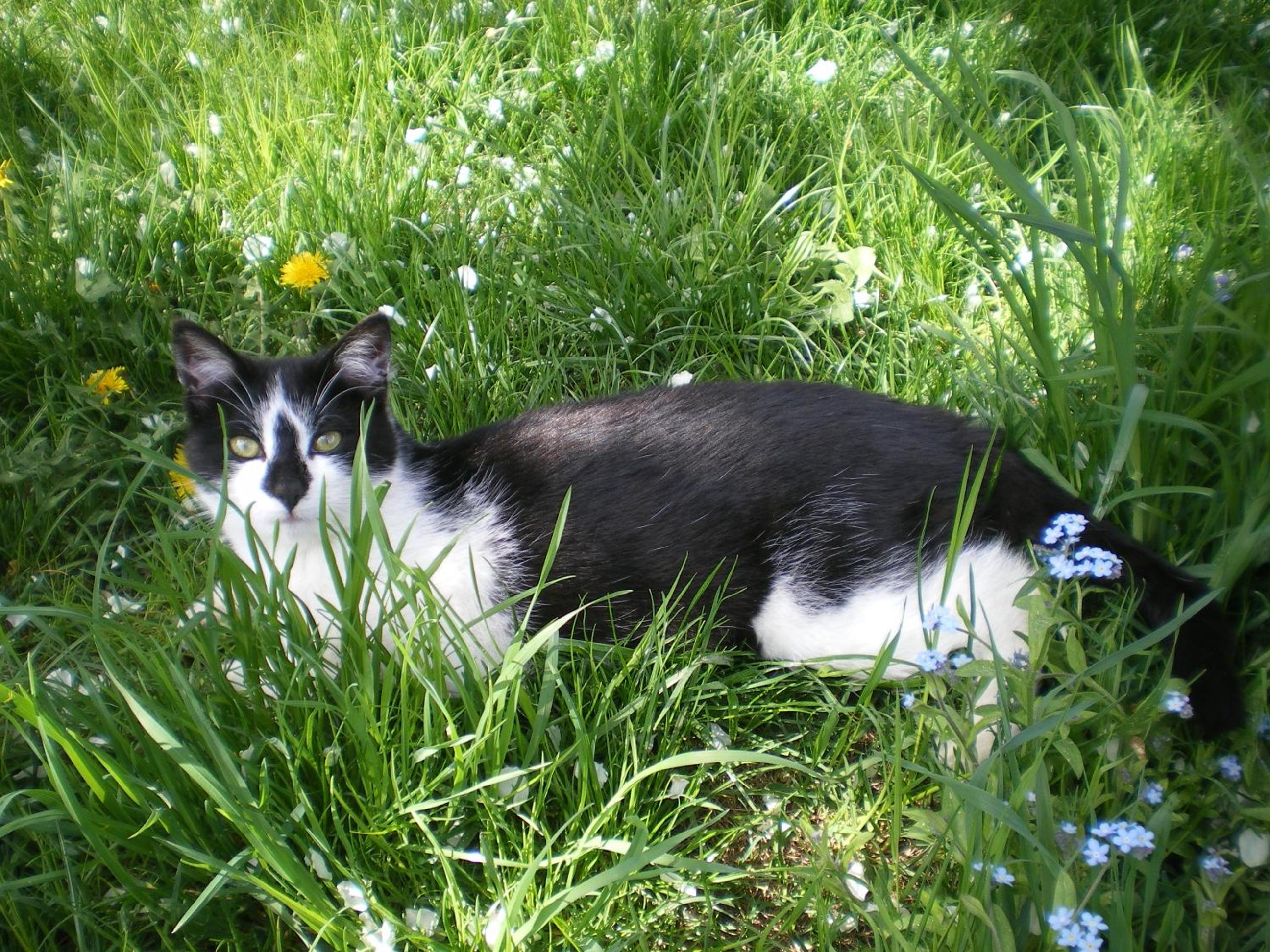 Photo 26