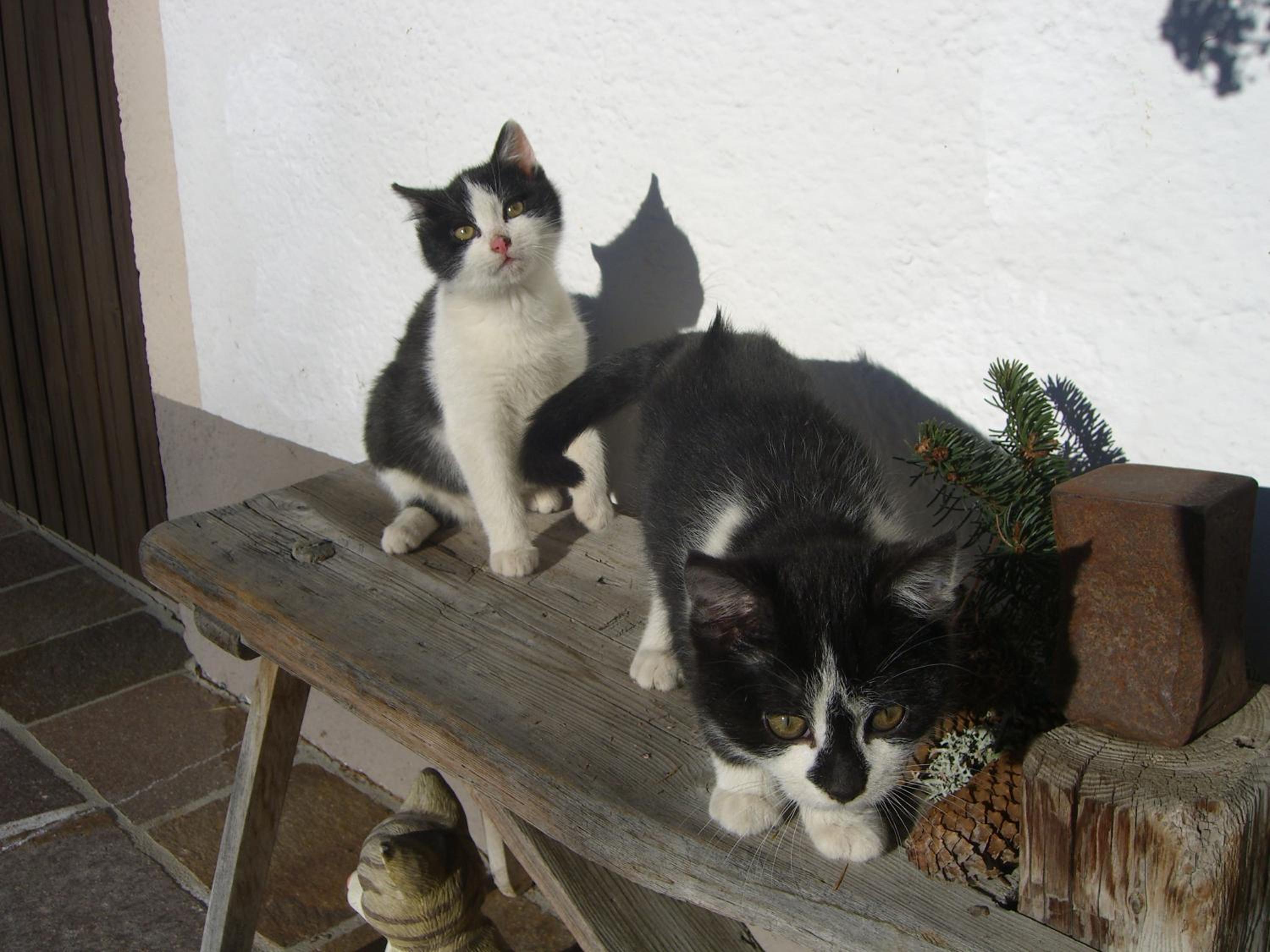 Photo 21