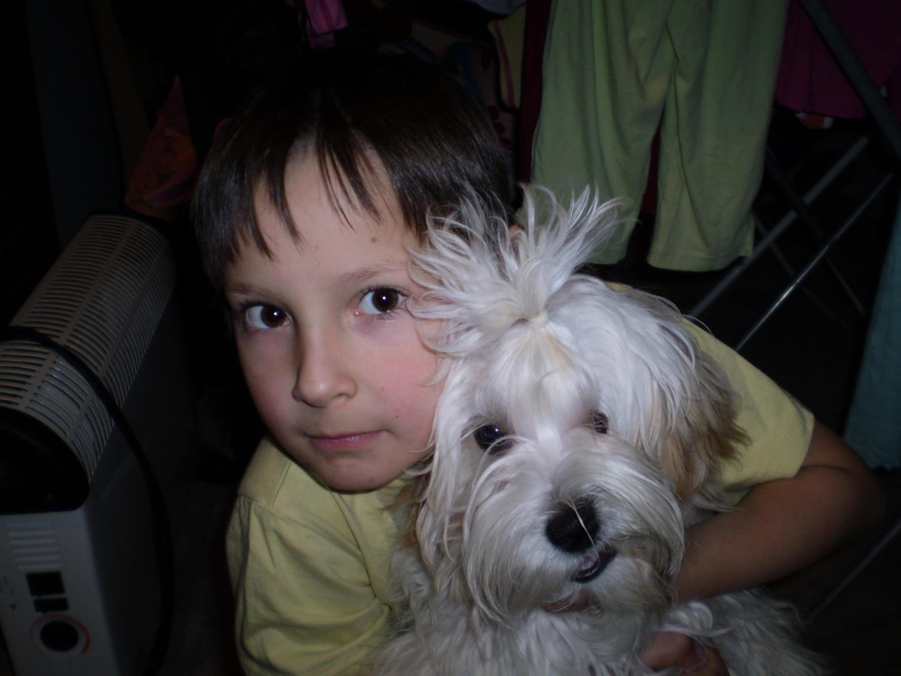 Photo 52