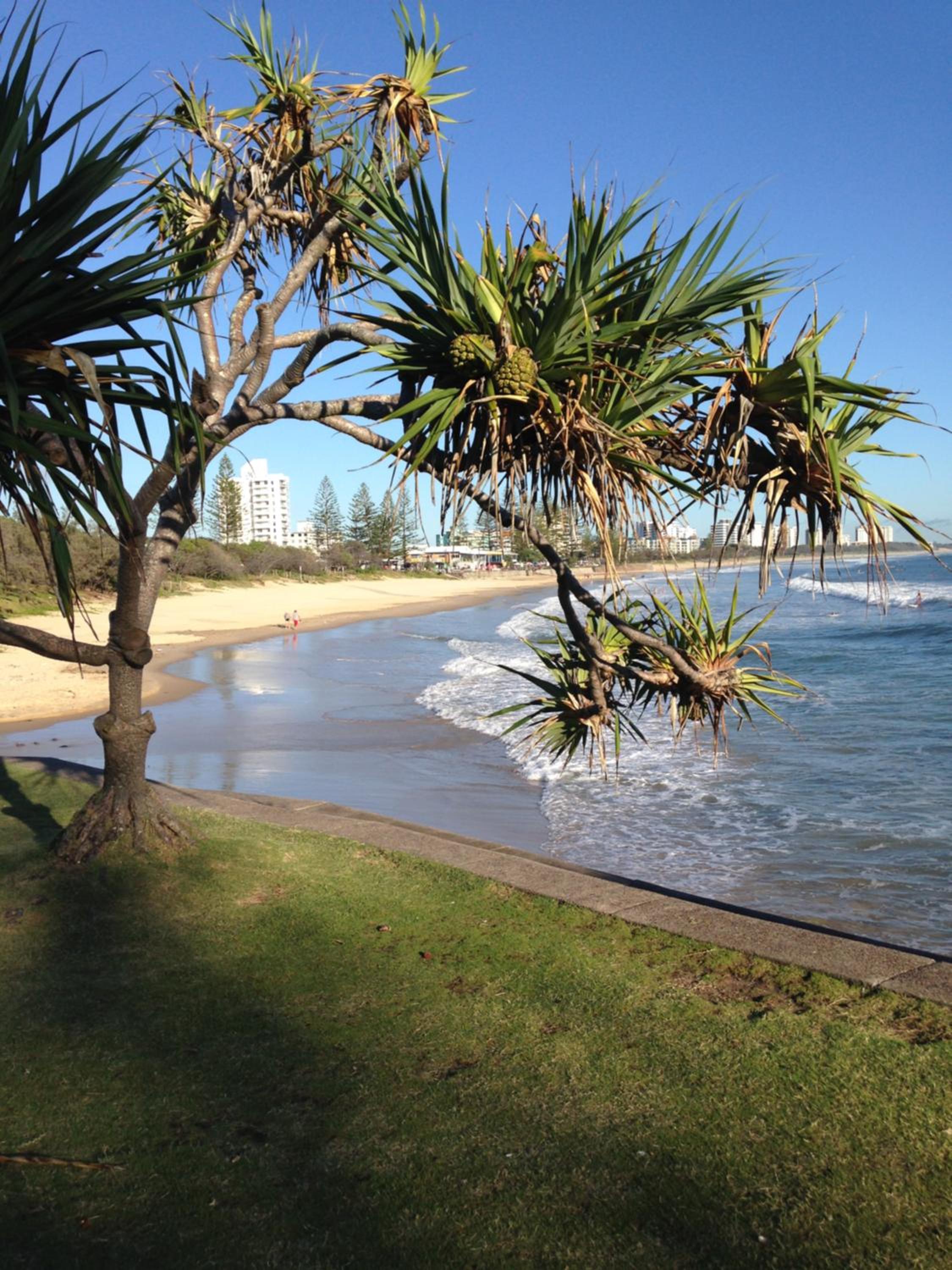 Grand Palais Boolarong Beachside Apartments