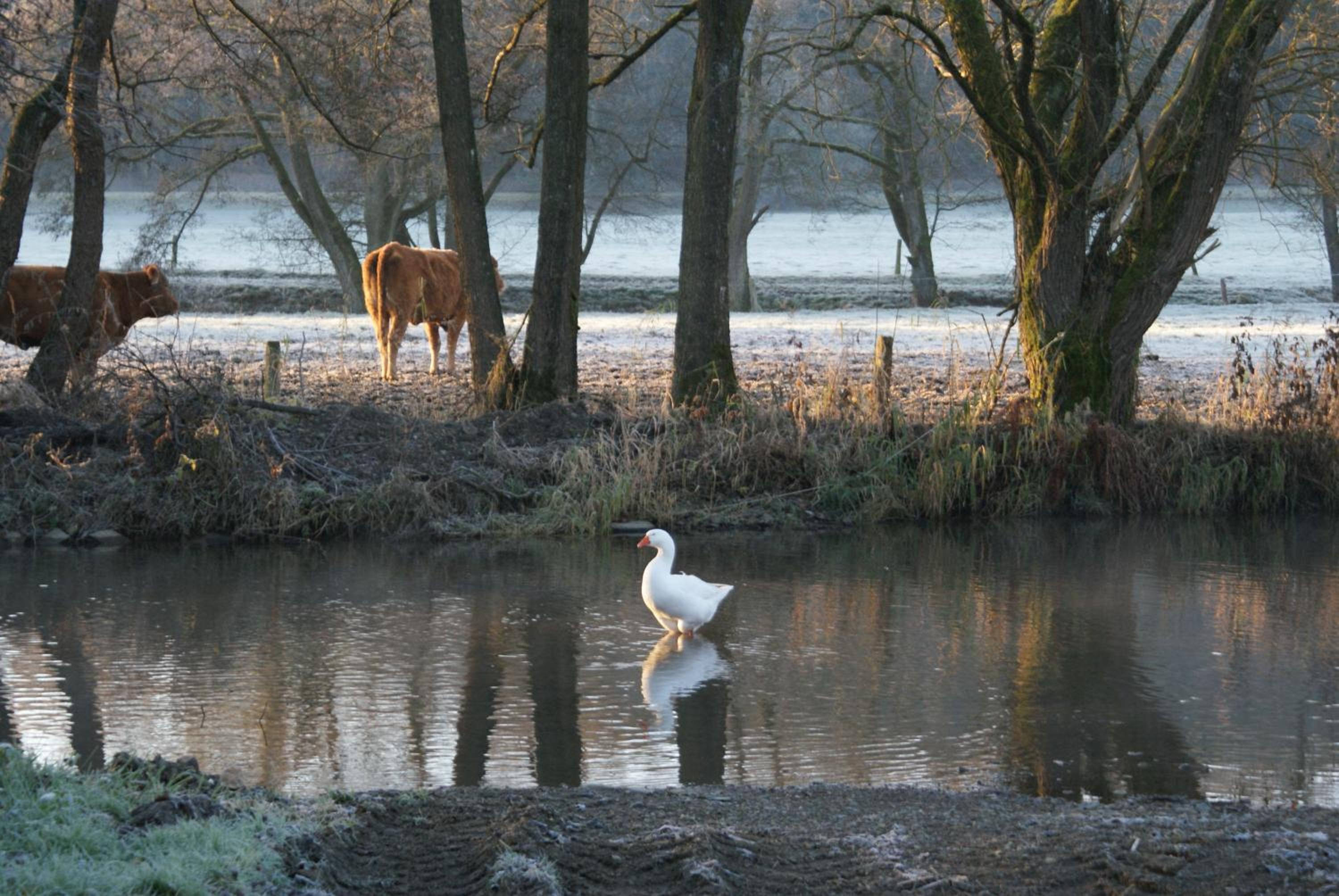 Le gîte de l Ourthe