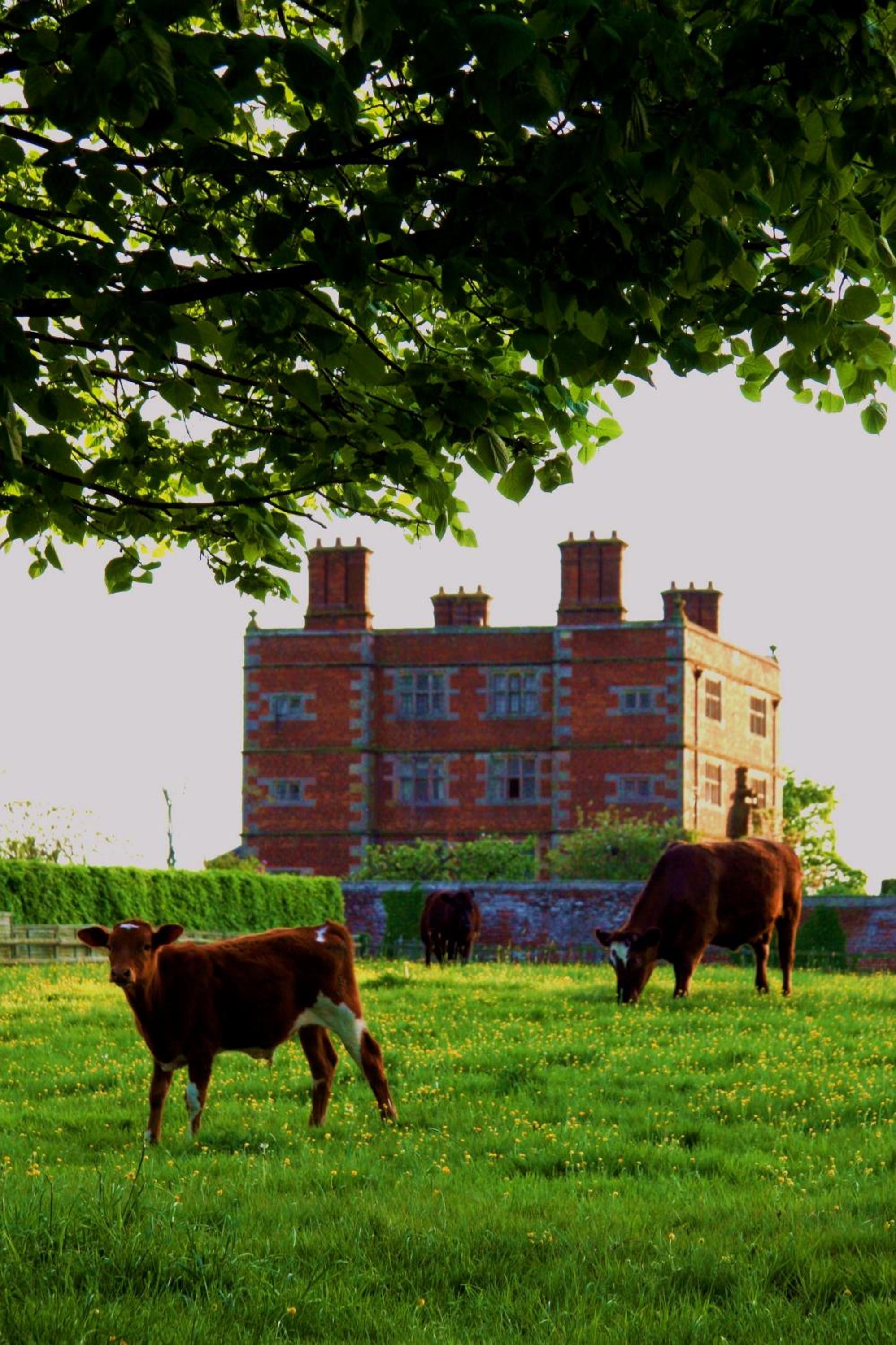 Soulton Hall view 3
