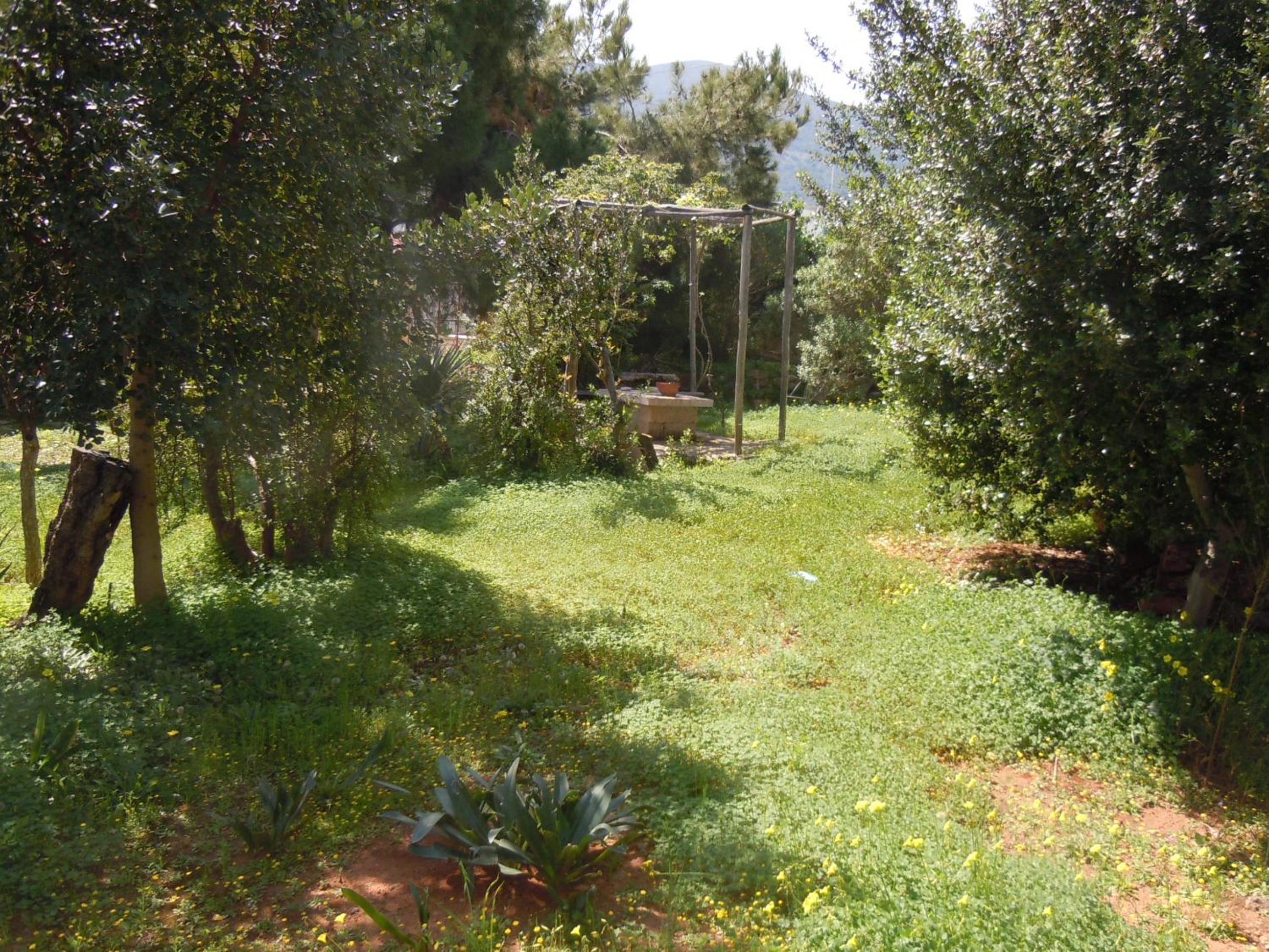 Photo 42