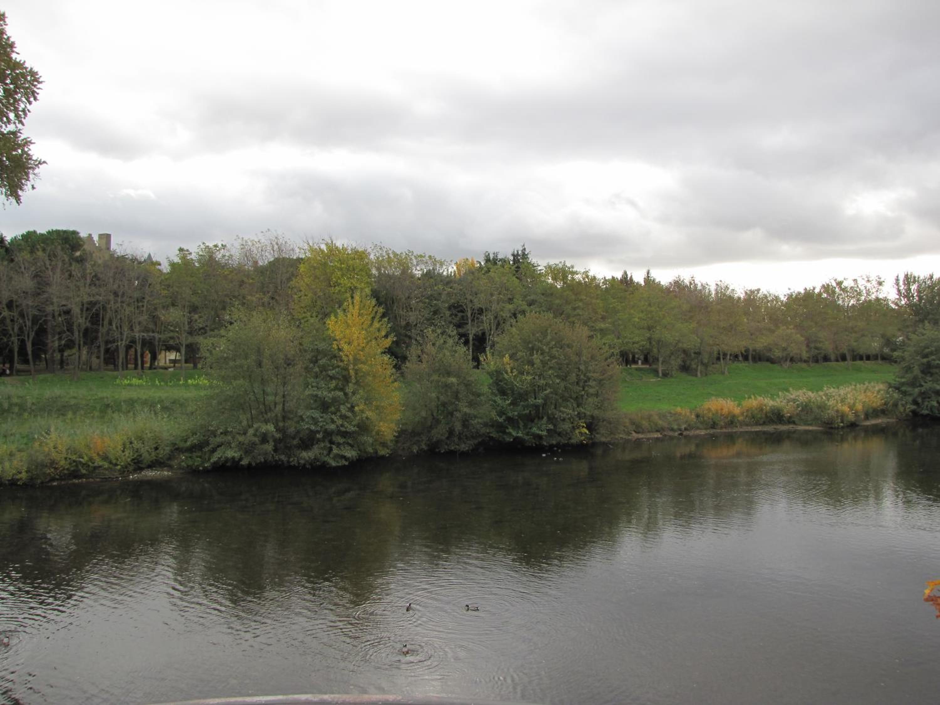 Photo 24
