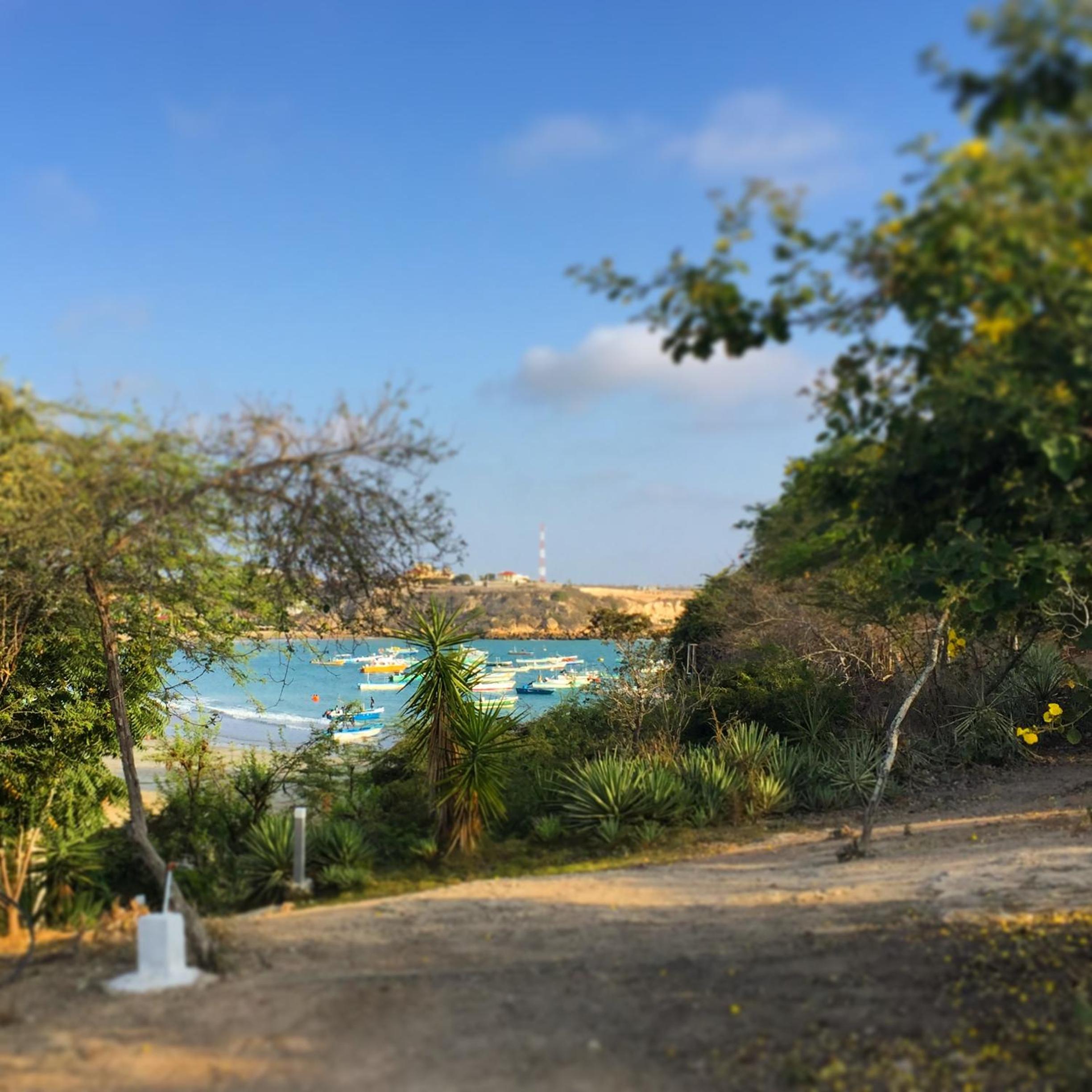 Muyuyo Lodge