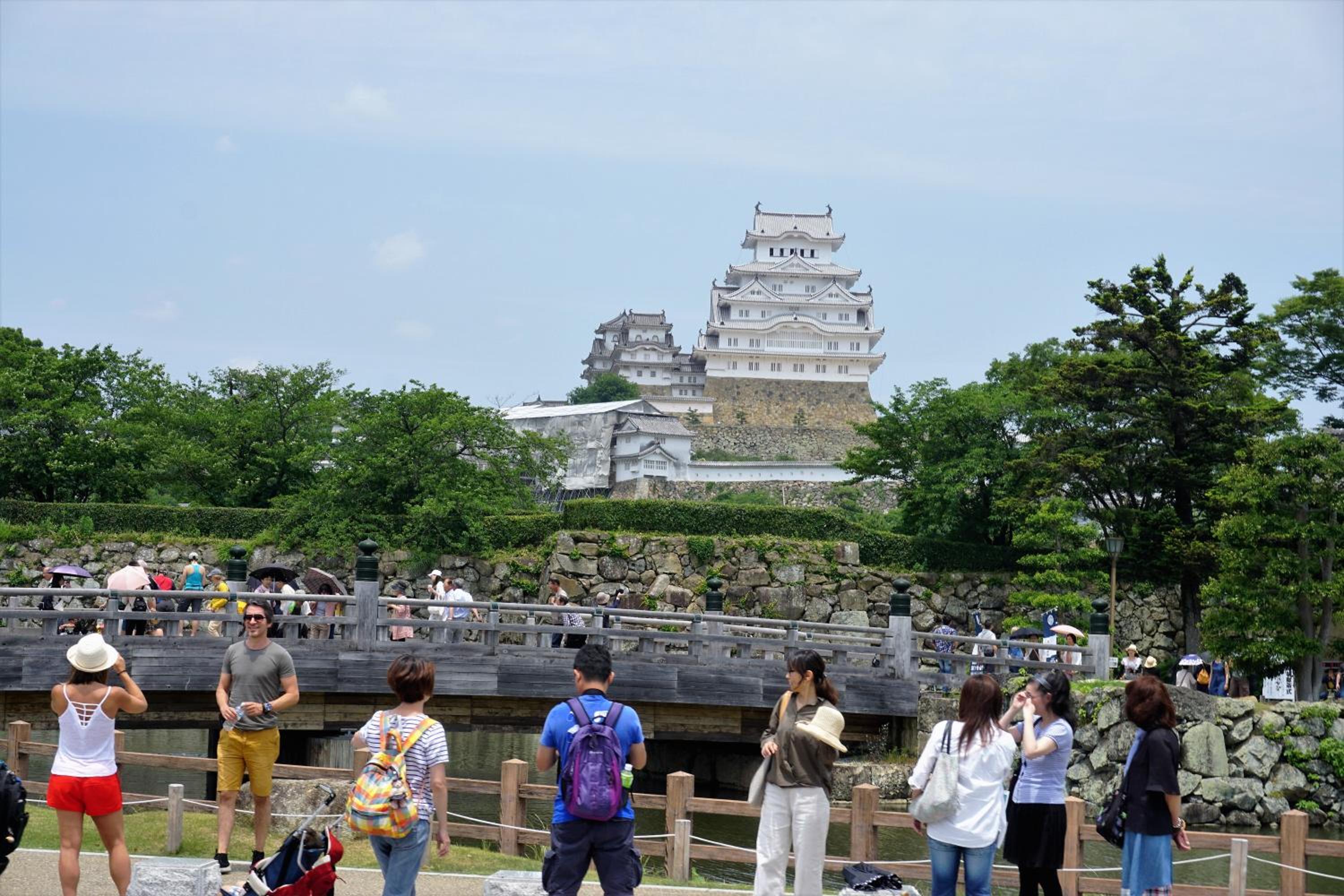 Photo 41