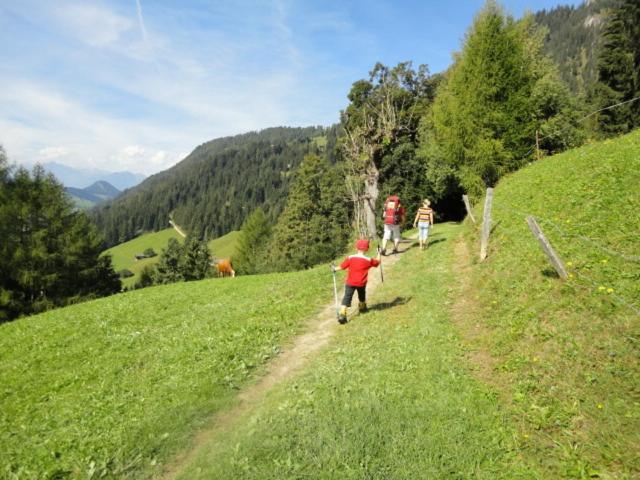 Hanslerfeld