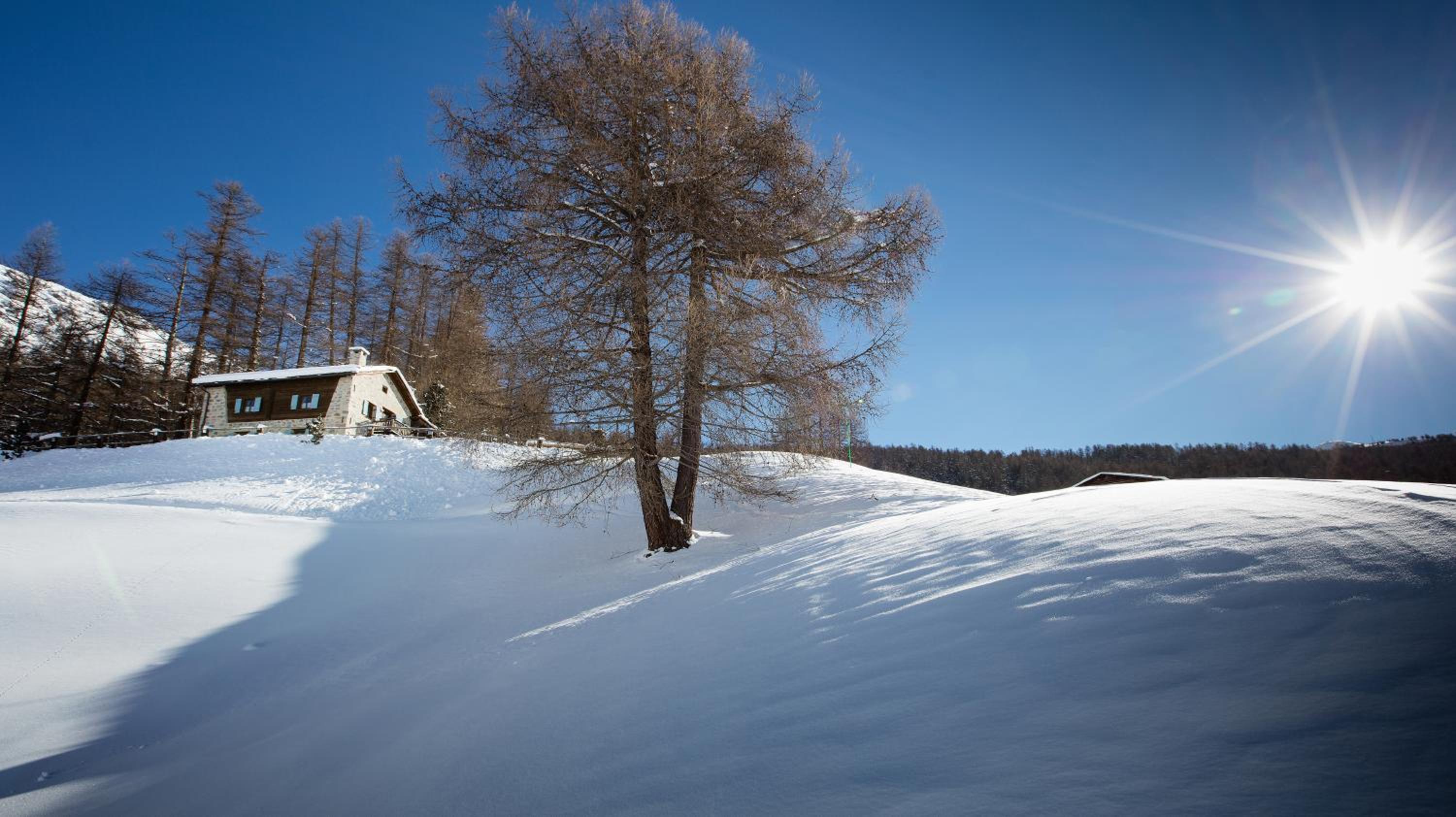 Chalet Charm by Original Galli