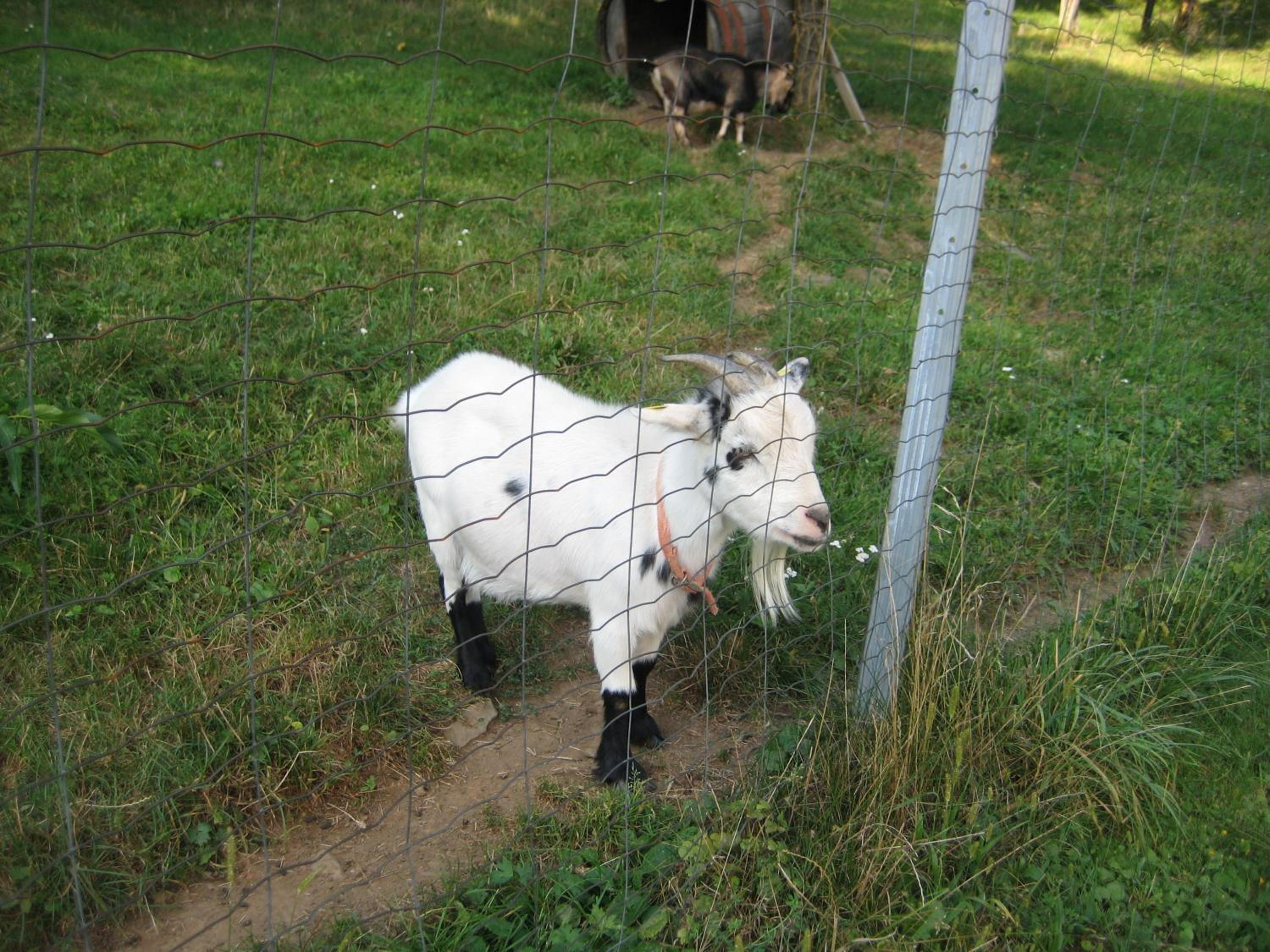 Photo 35