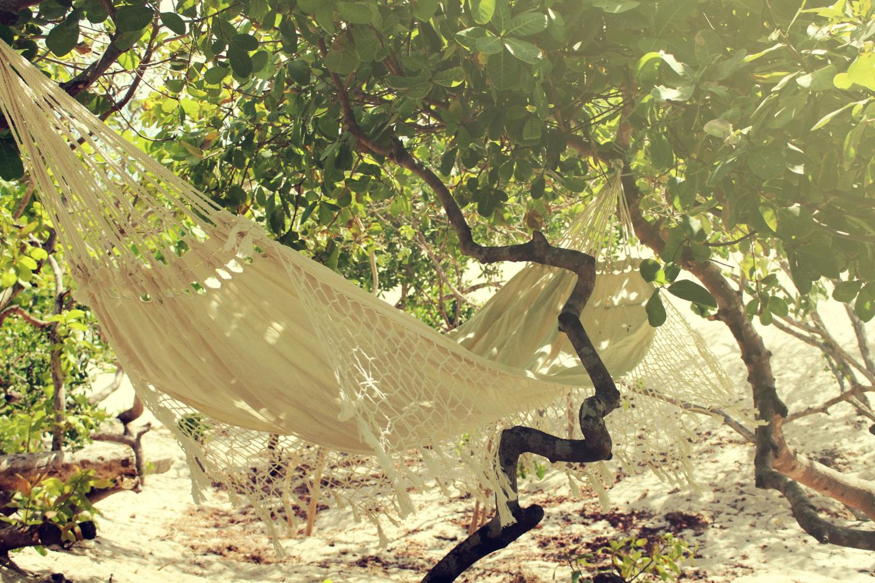 Eco Kite Dunas