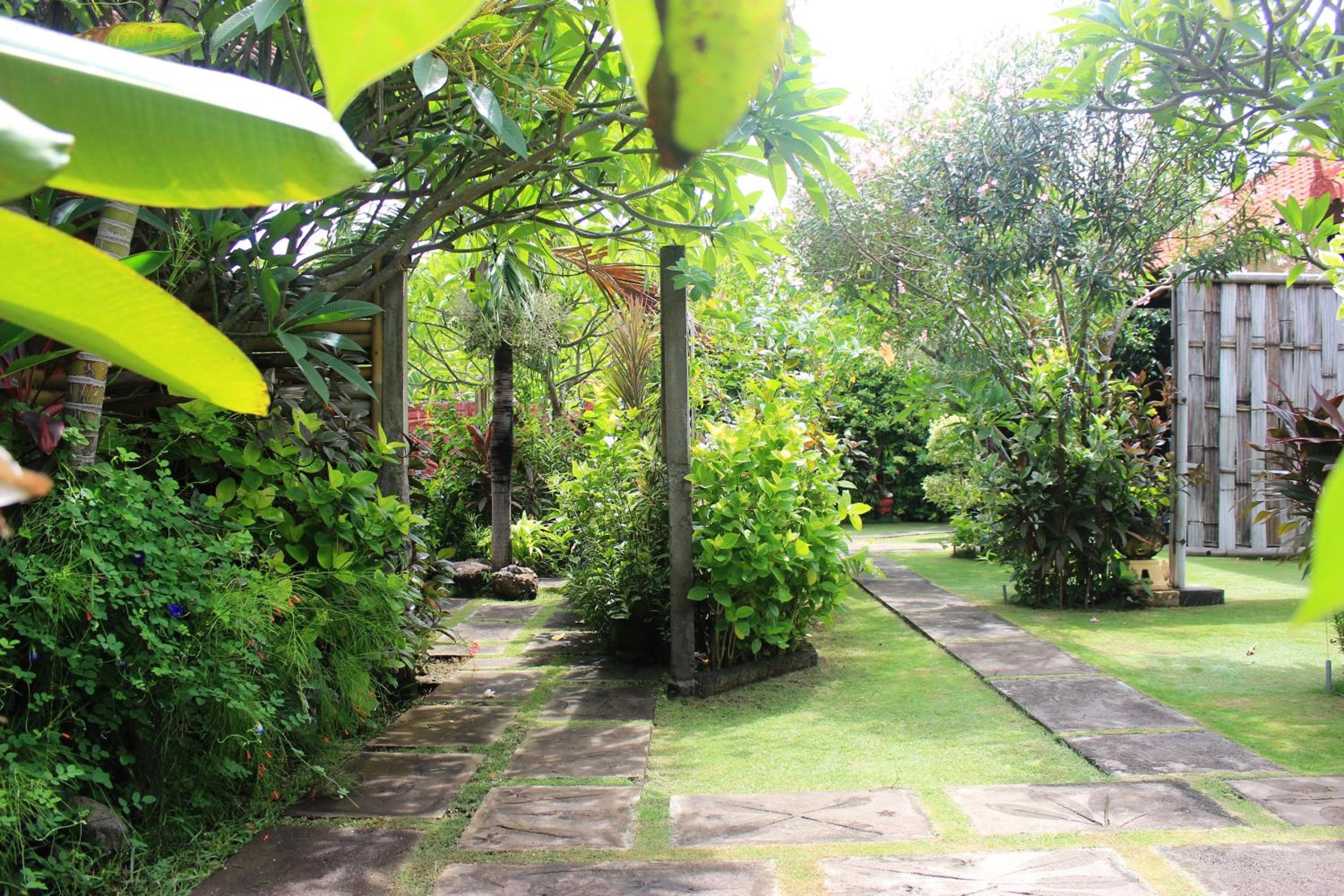 Photo 40