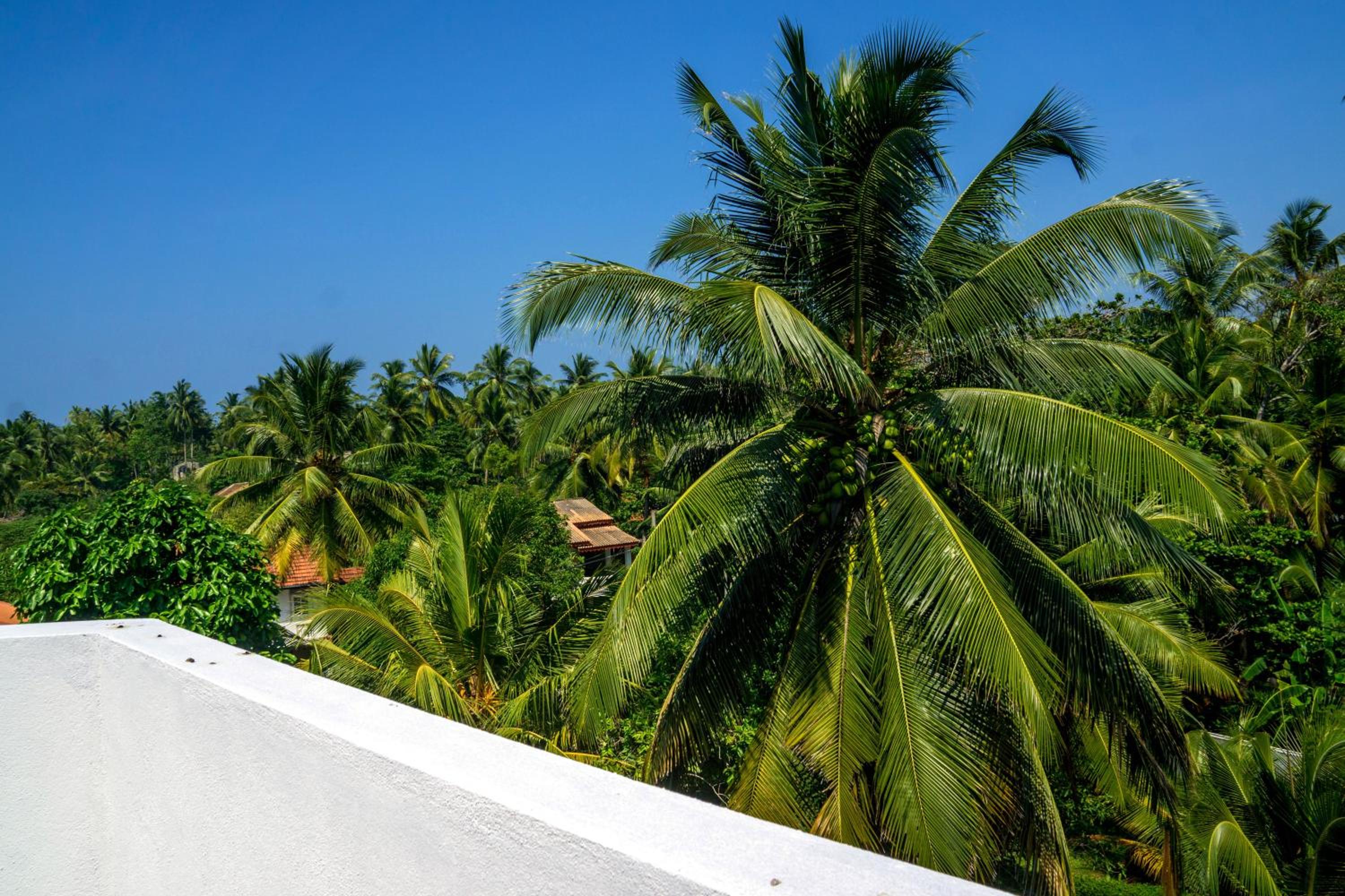 Eden Blue Hikkaduwa view 2