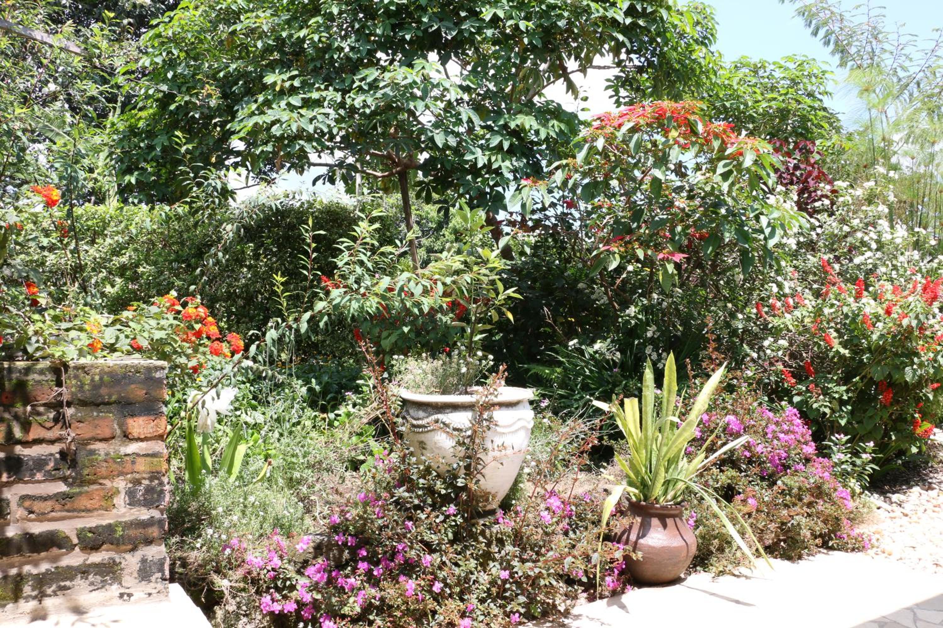 La Locanda, photo 9