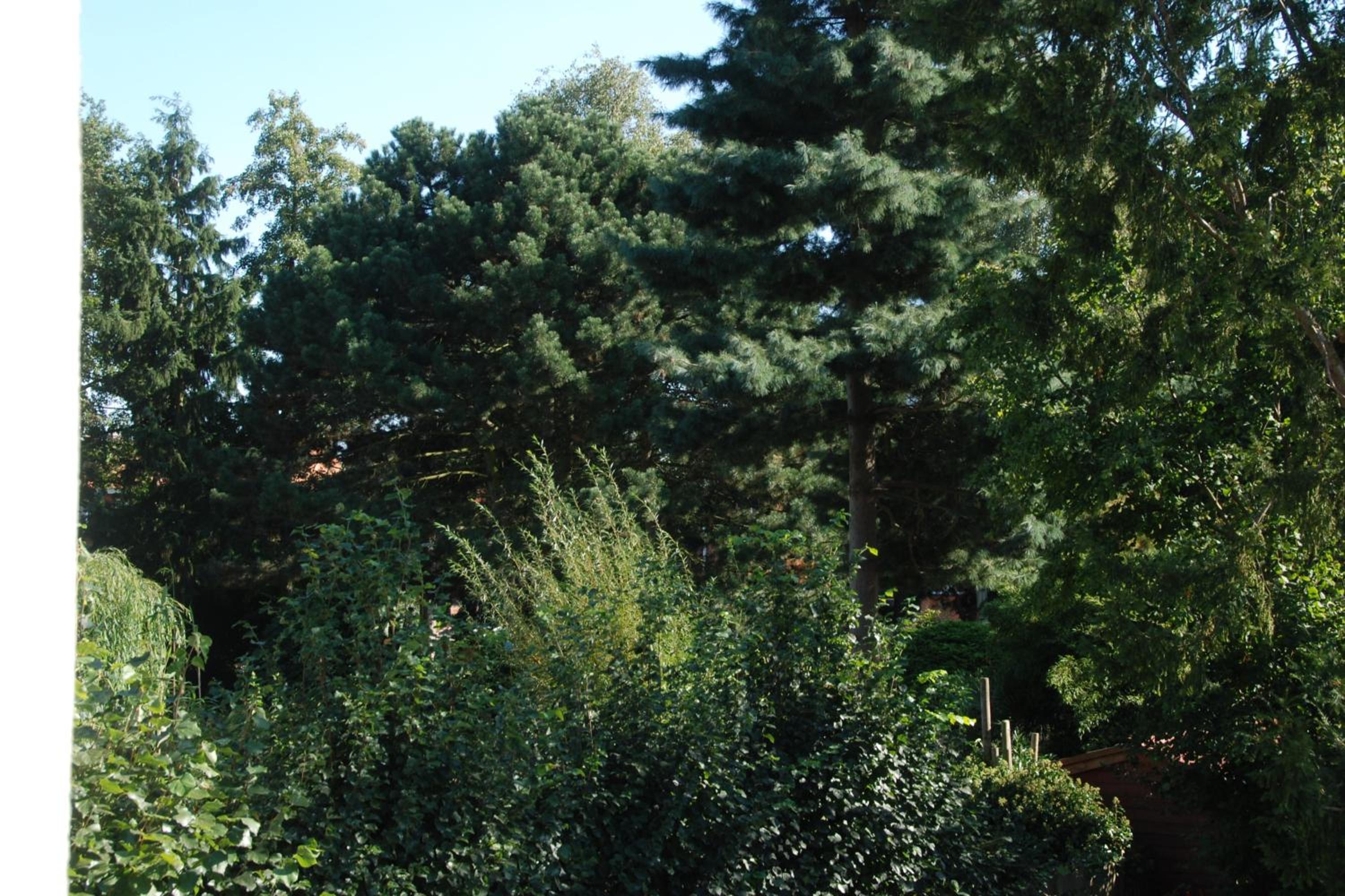 B&B Garden55