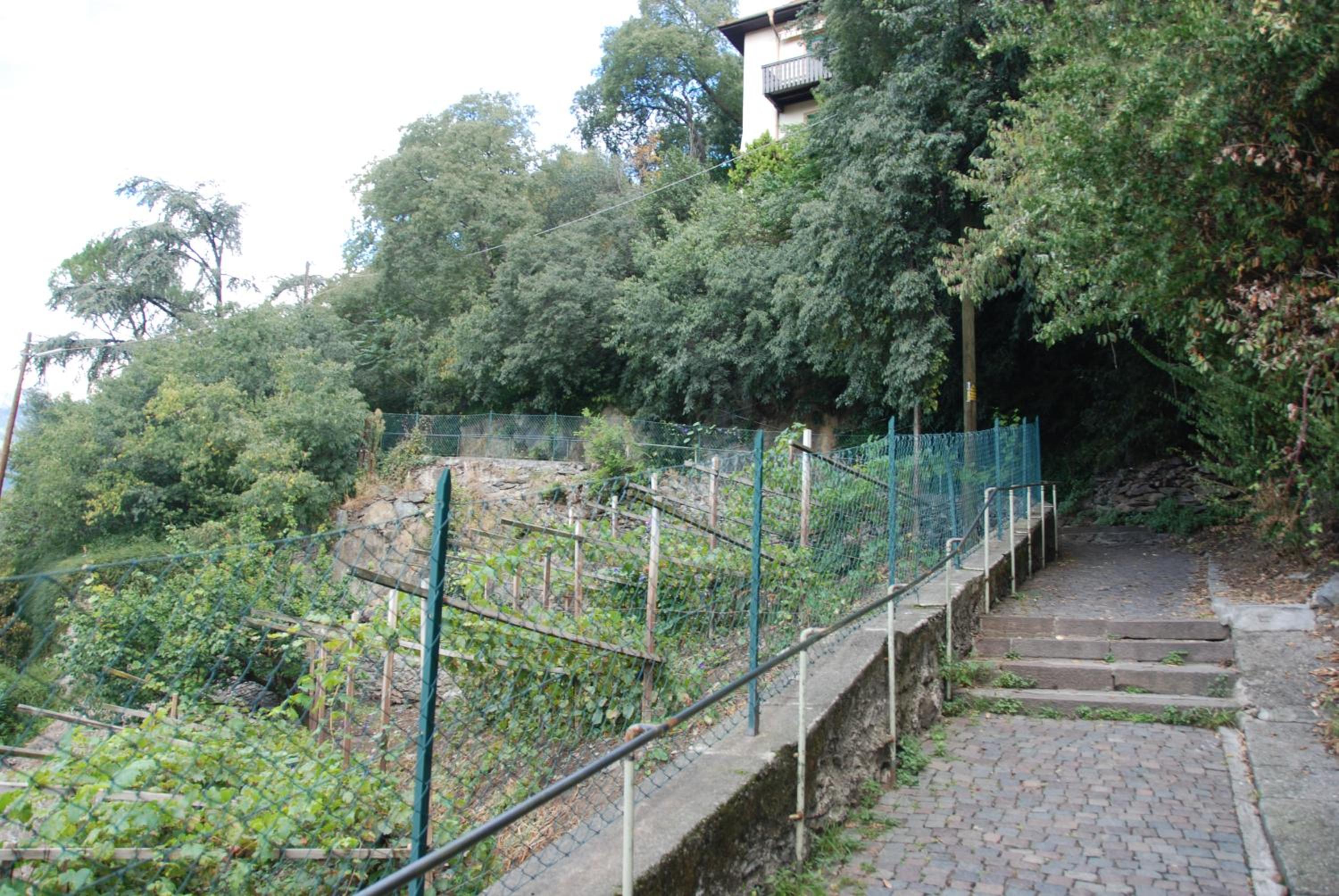 Fürstenstein view 5