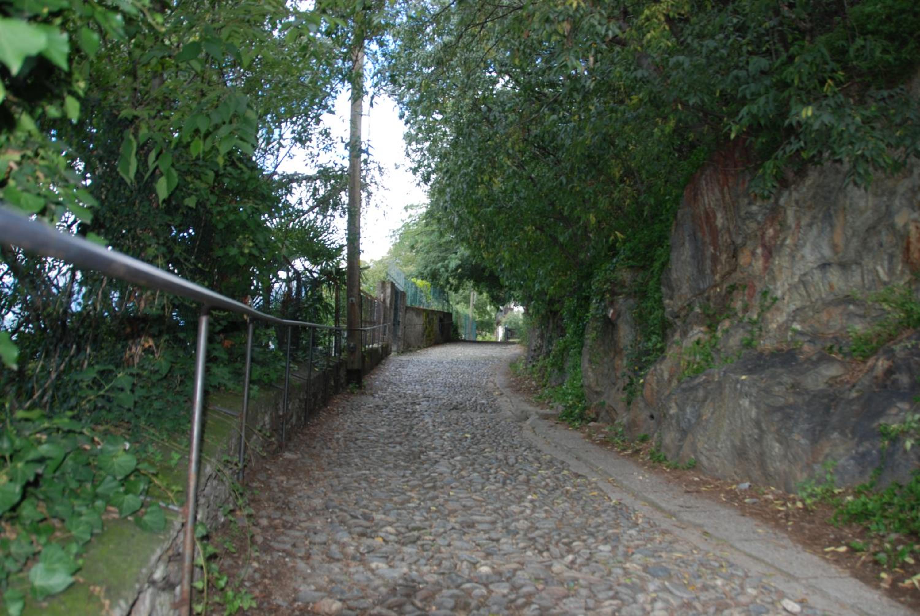 Fürstenstein view 3