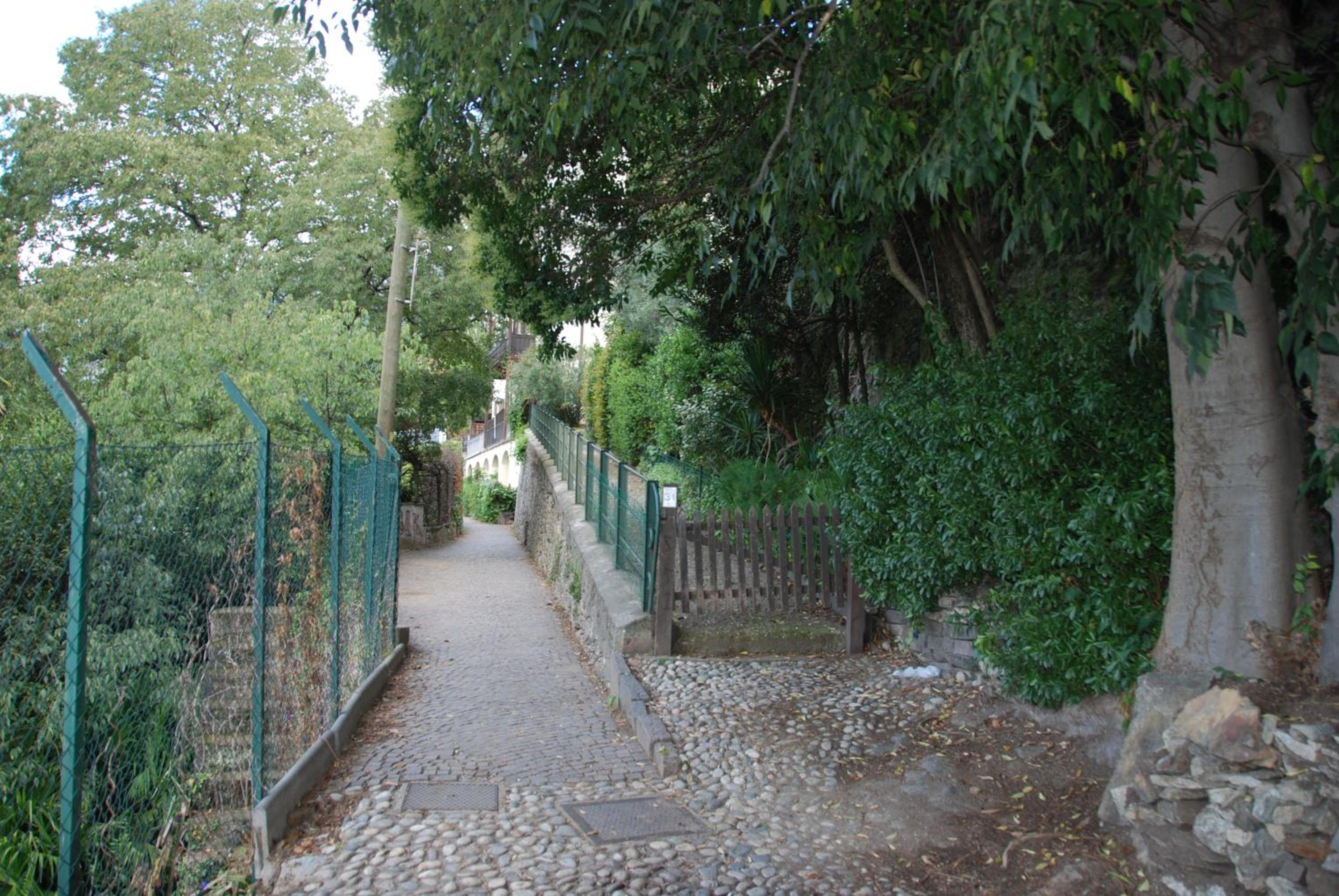 Fürstenstein view 2