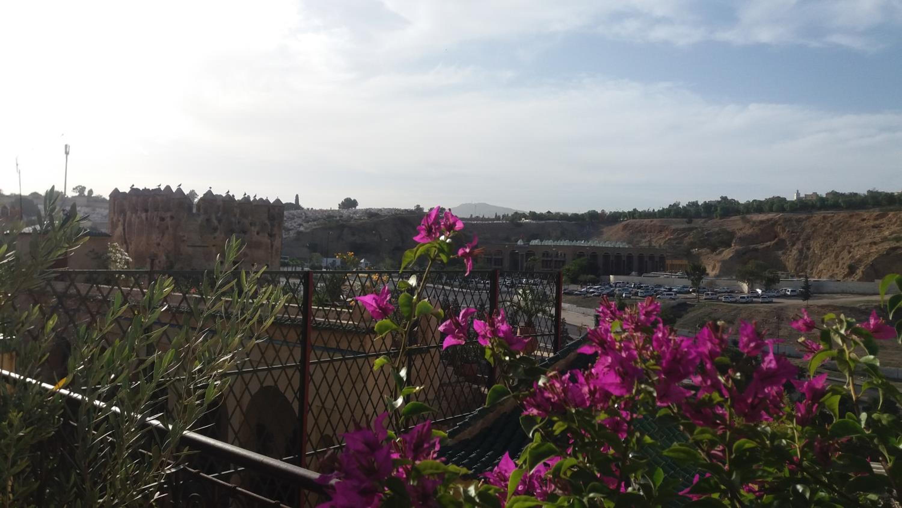 roof