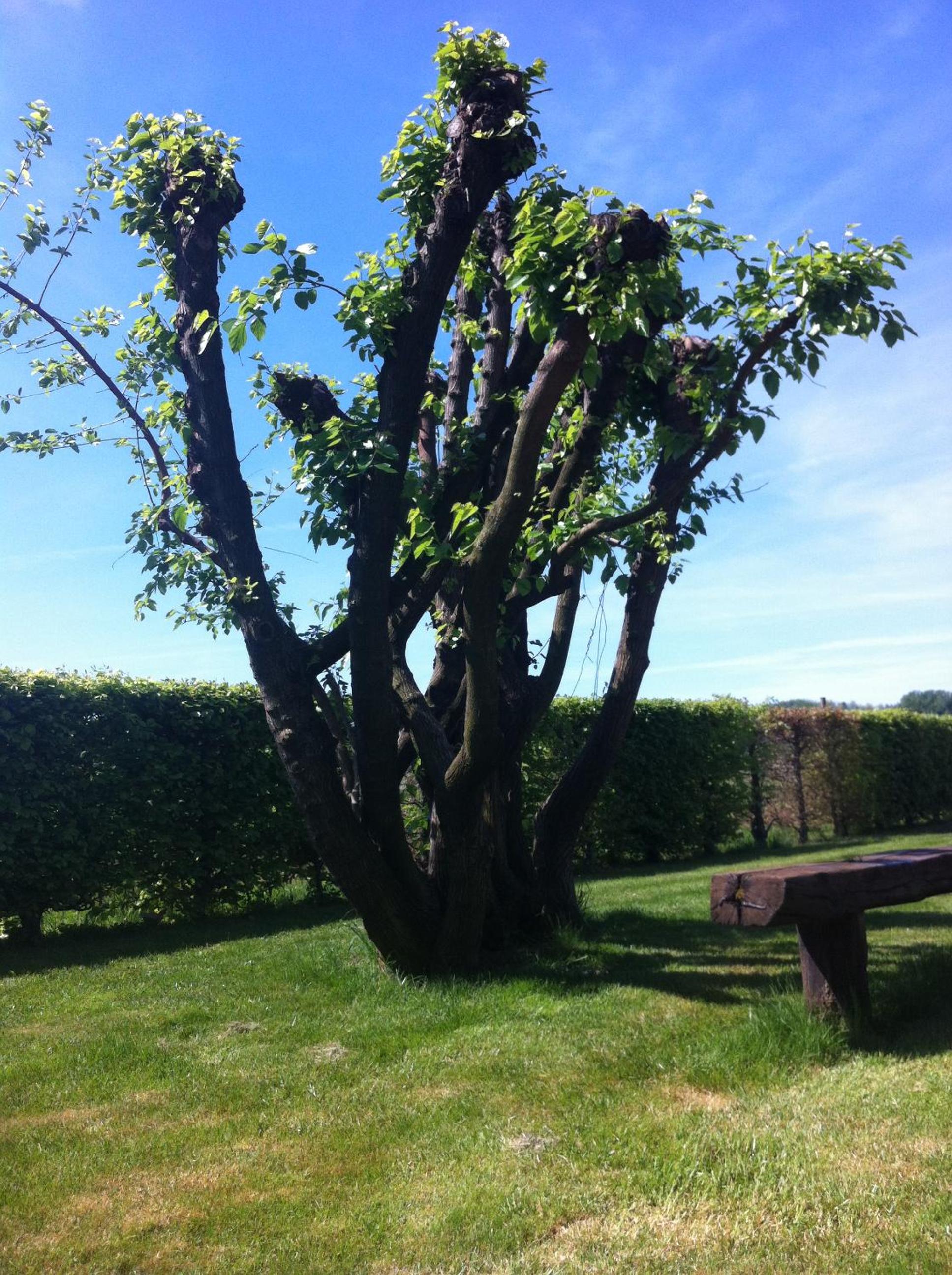 Photo 26