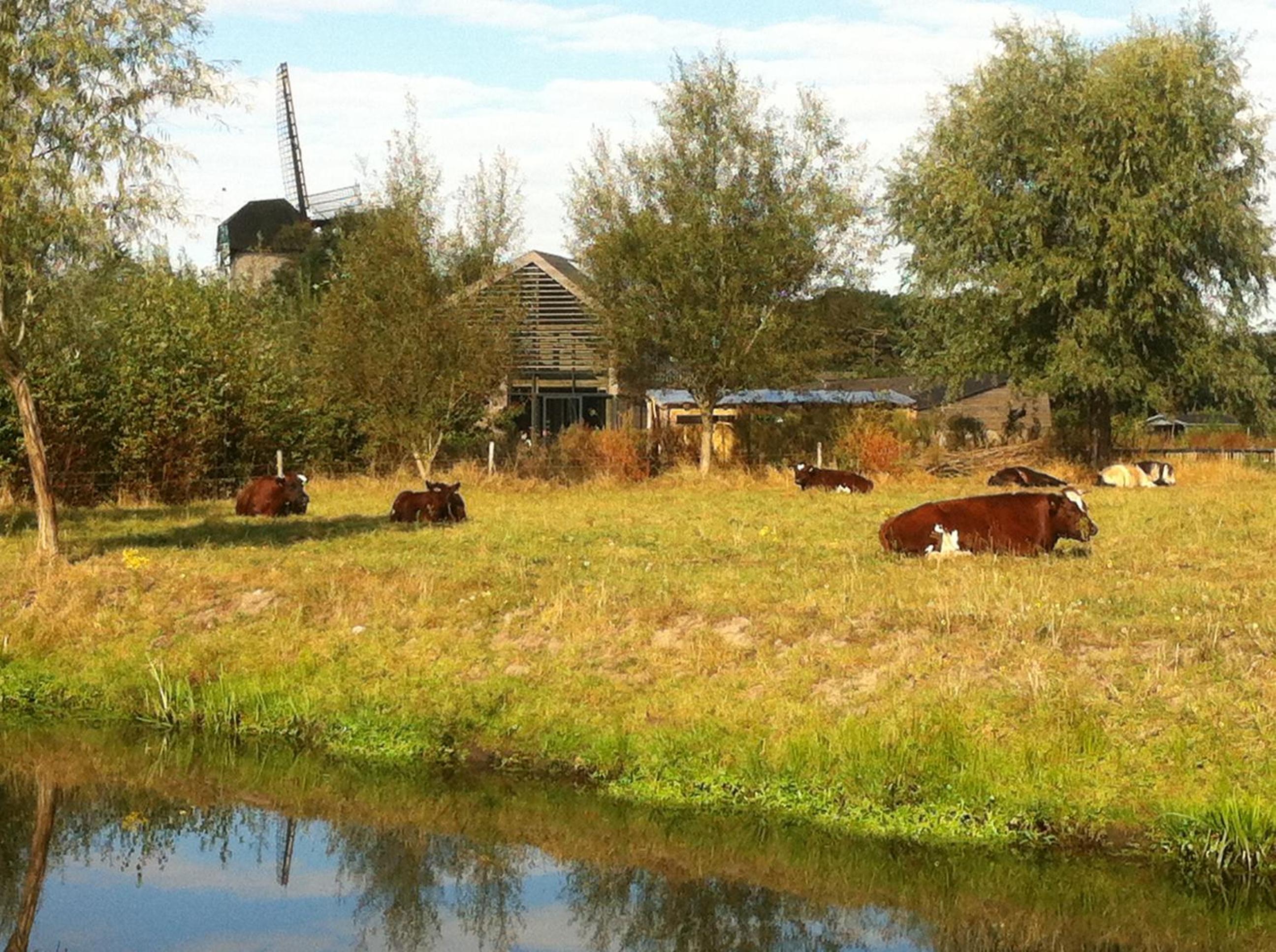 Photo 26