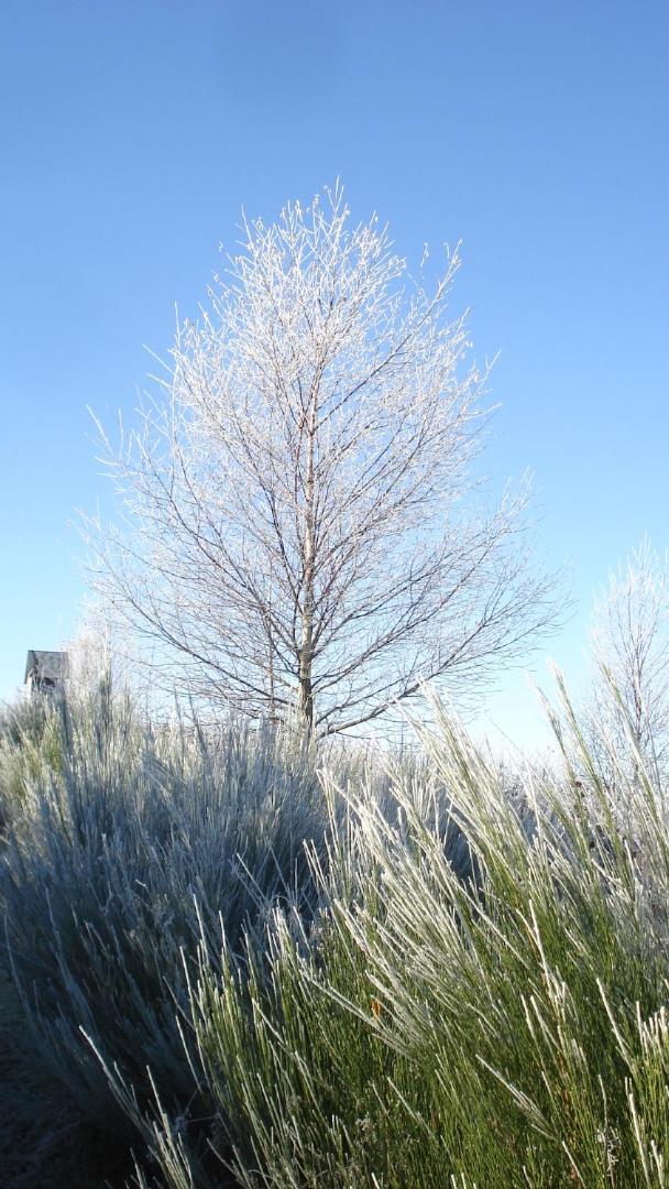 Photo 42
