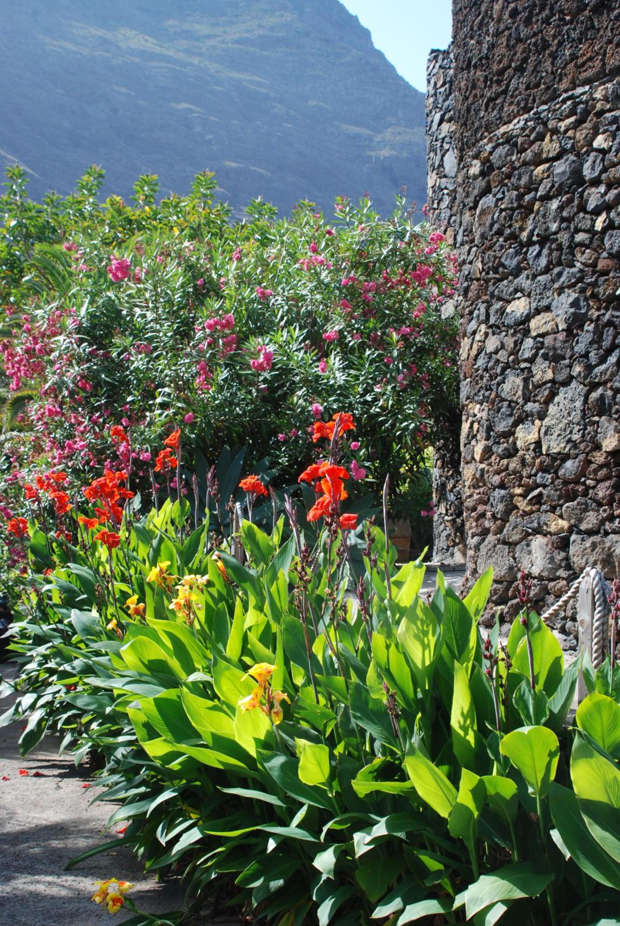 Apartamentos Finca Wapa