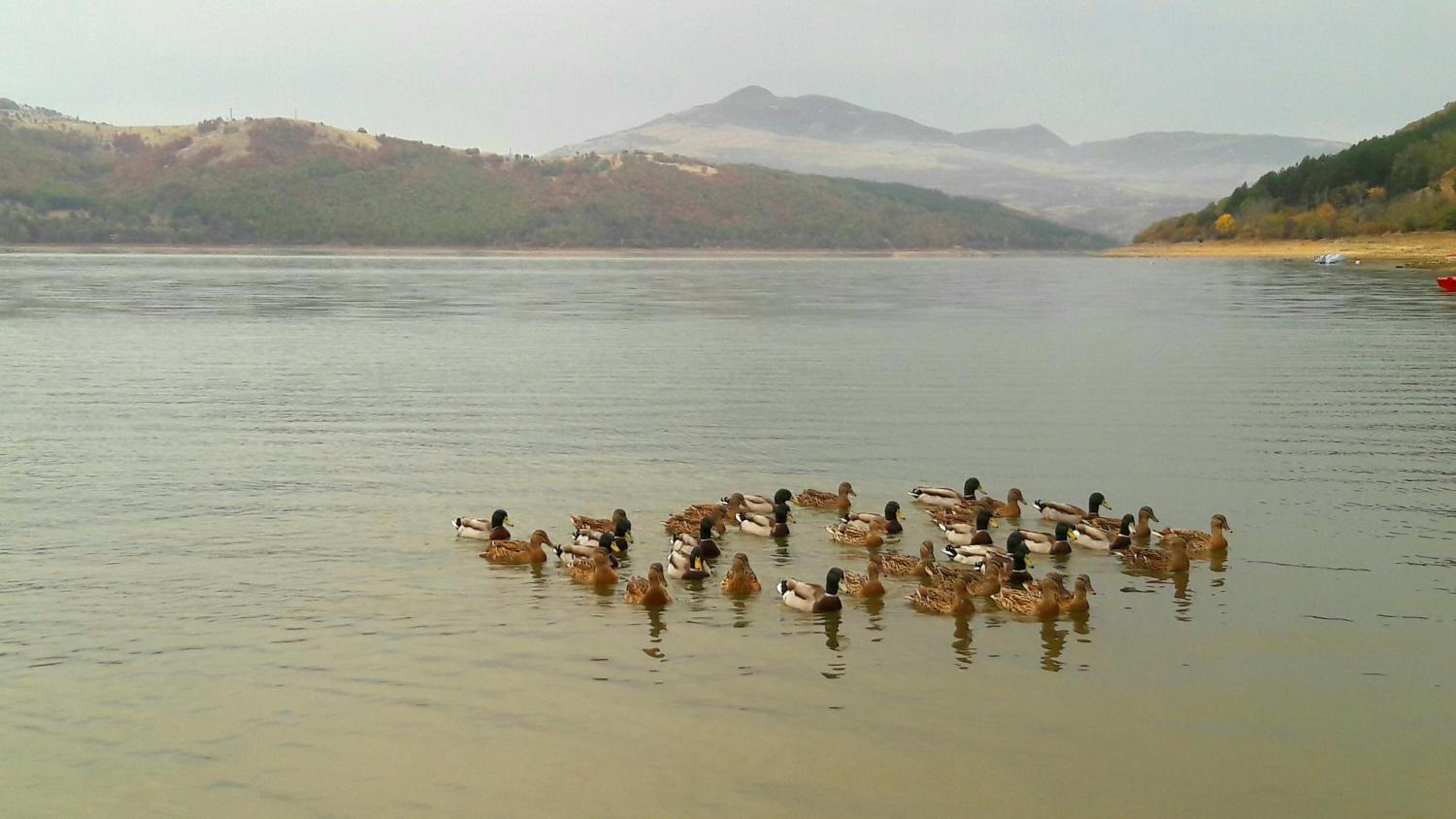 Mihaela Lake Retreat