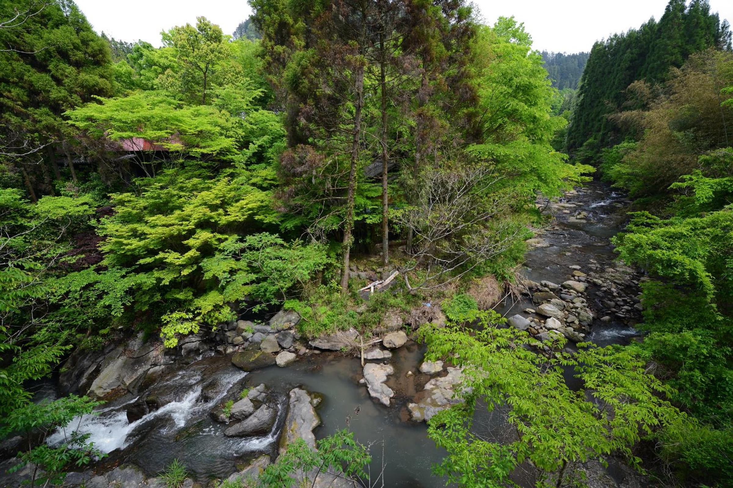 Photo 25