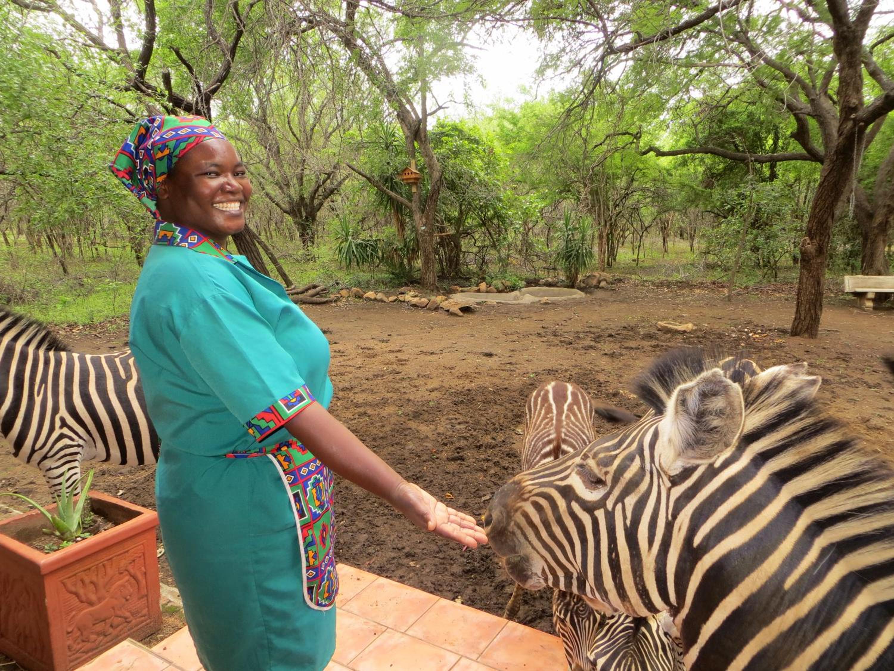 Kruger Safari Animal Encounter