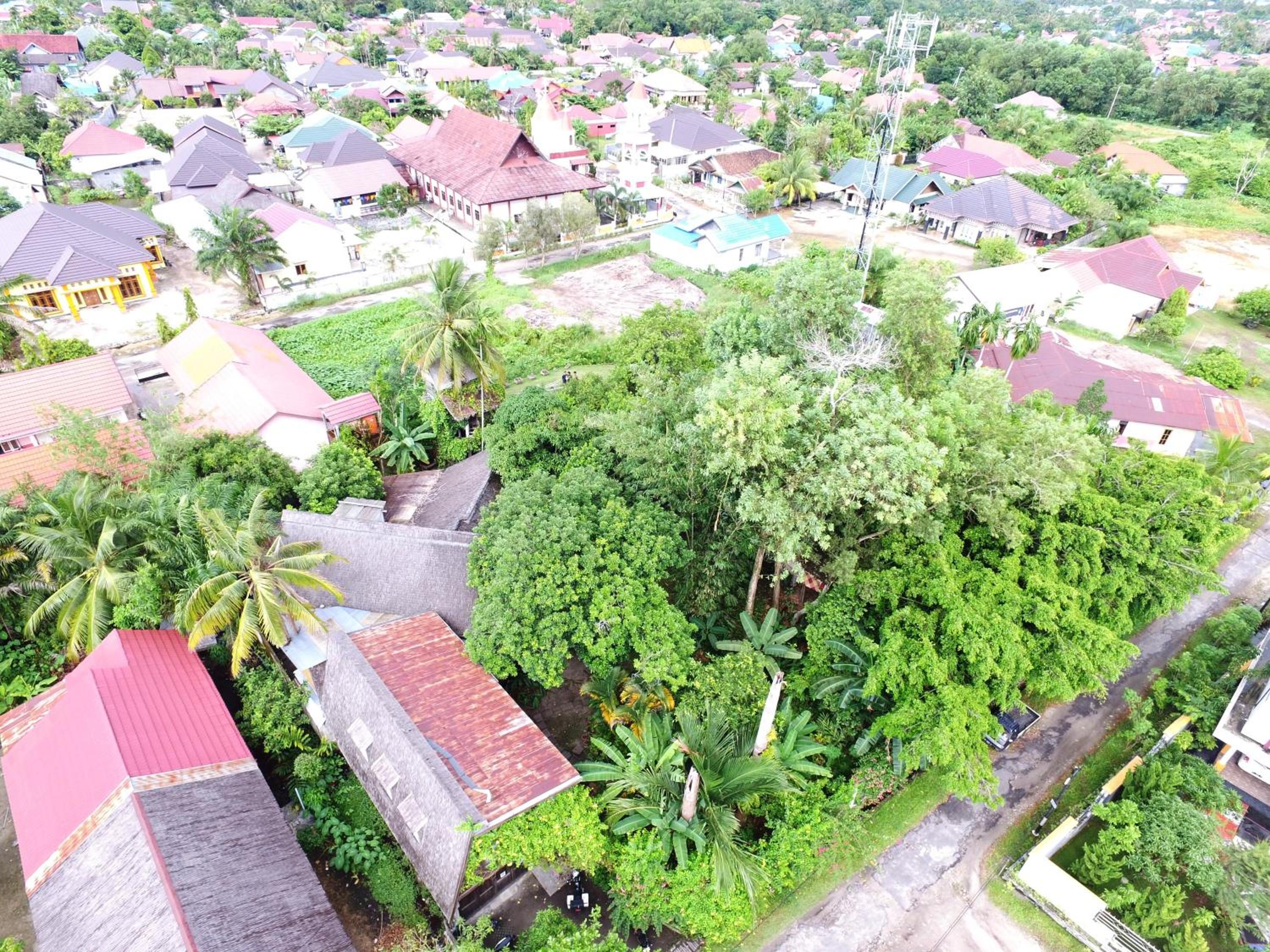 Bukit Raya Guesthouse