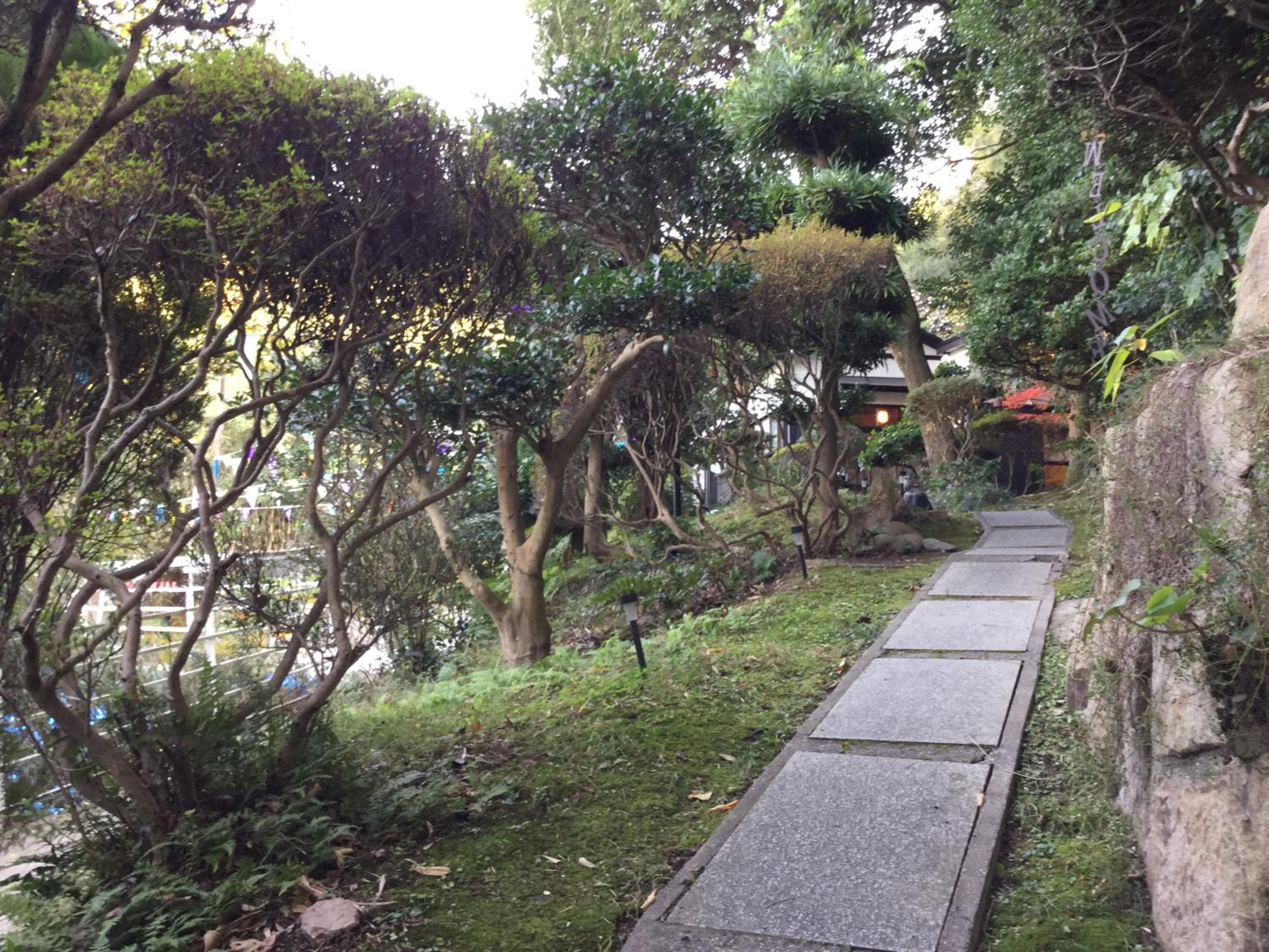 Photo 11