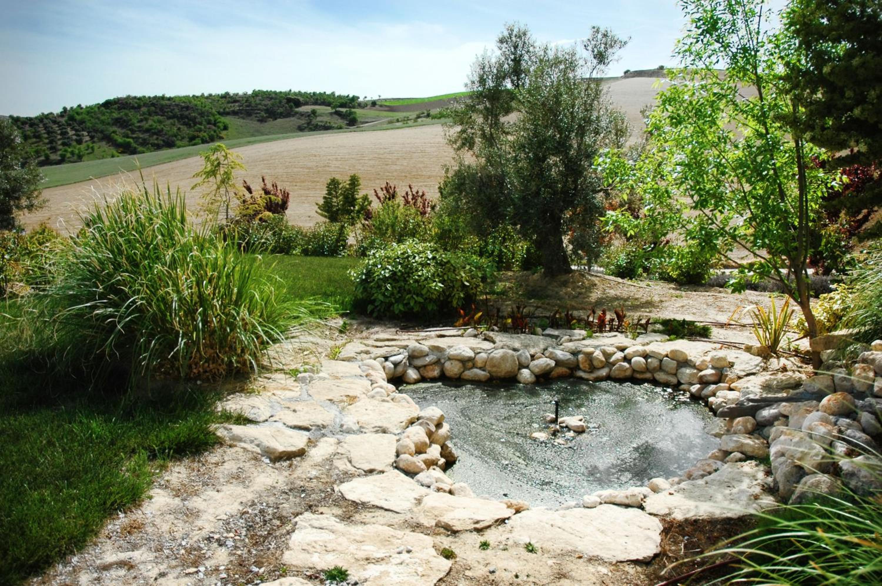 Photo 25