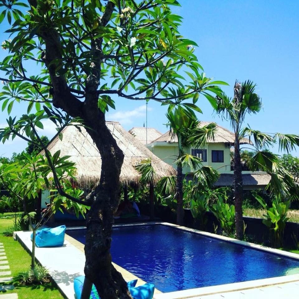 The Hideaway Canggu view 2