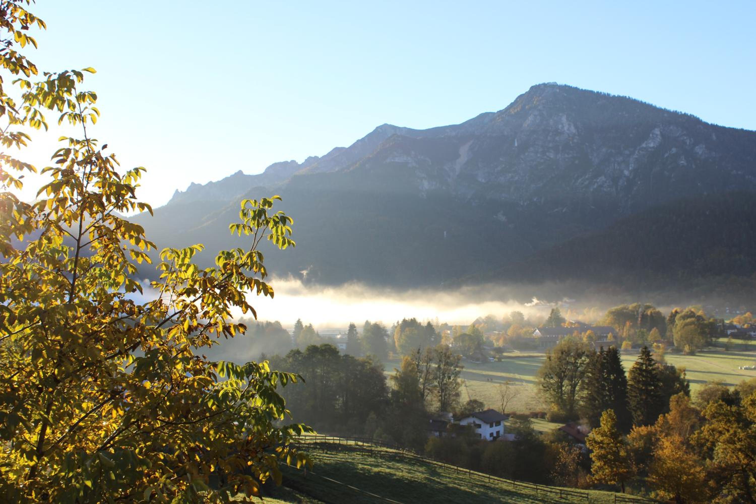 Leitnerhof
