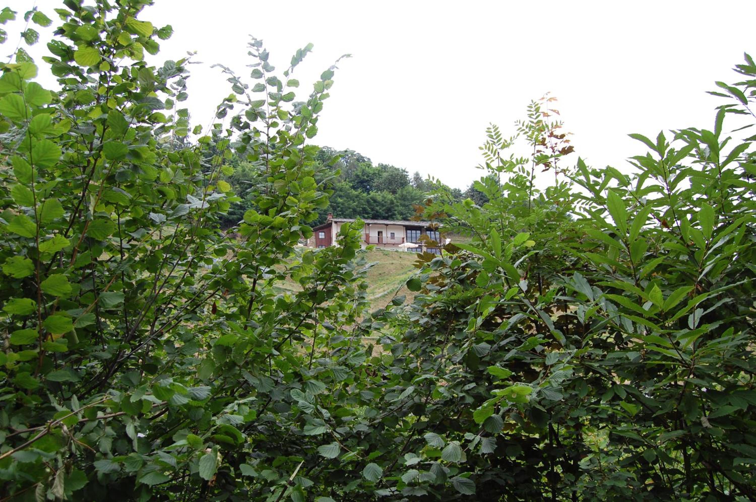 Photo 42