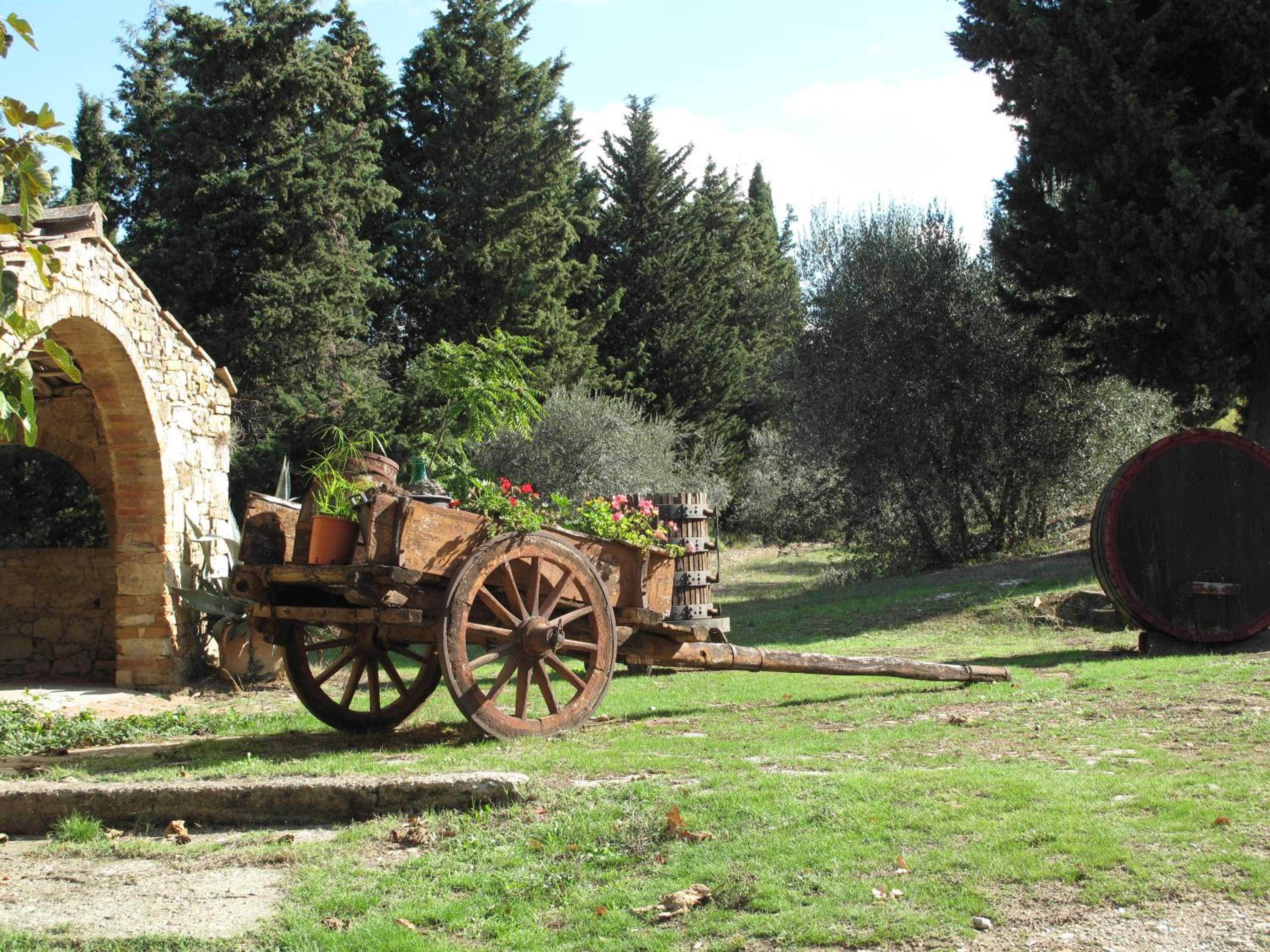 Fattoria Casa Sola