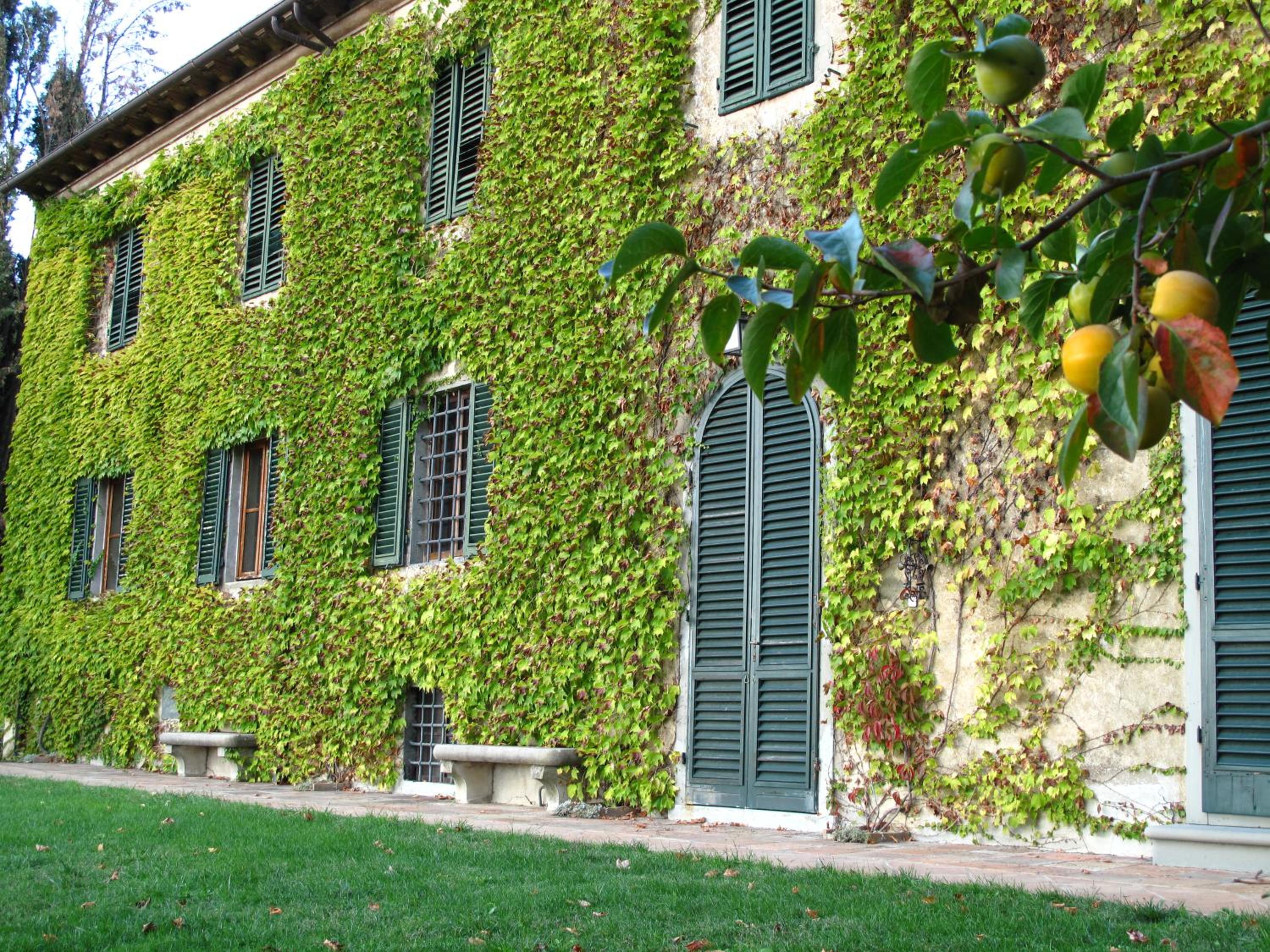 Fattoria Casa Sola