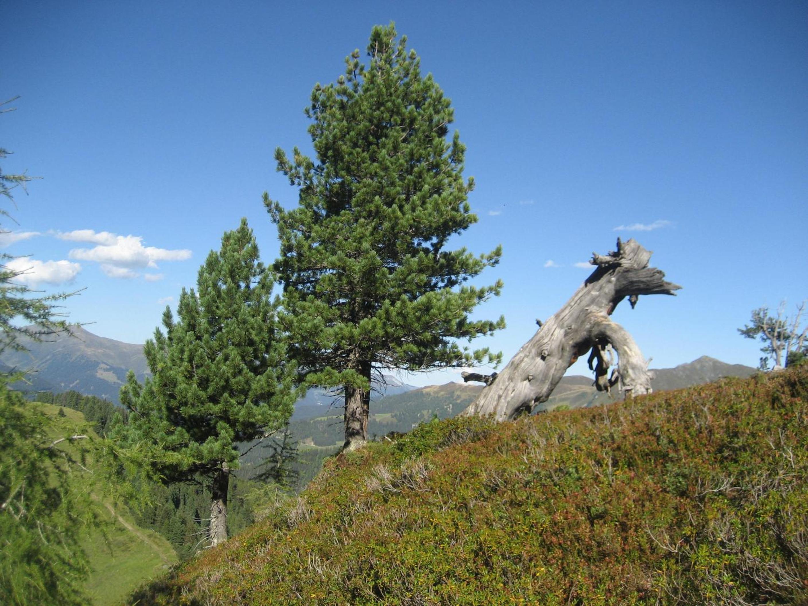 Photo 26