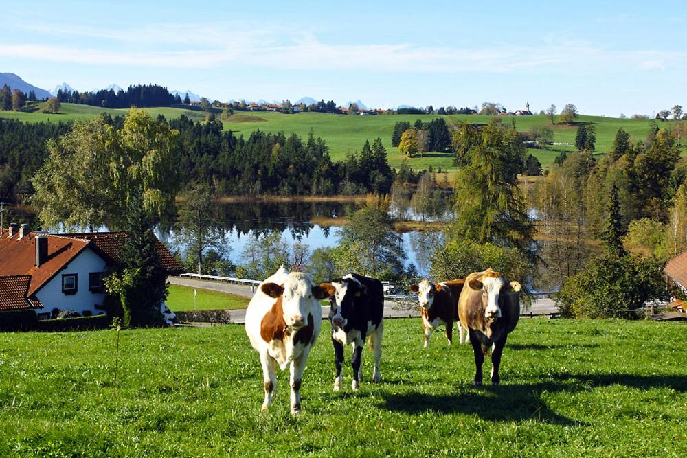 Gasthof "Zum Strauß" view 4