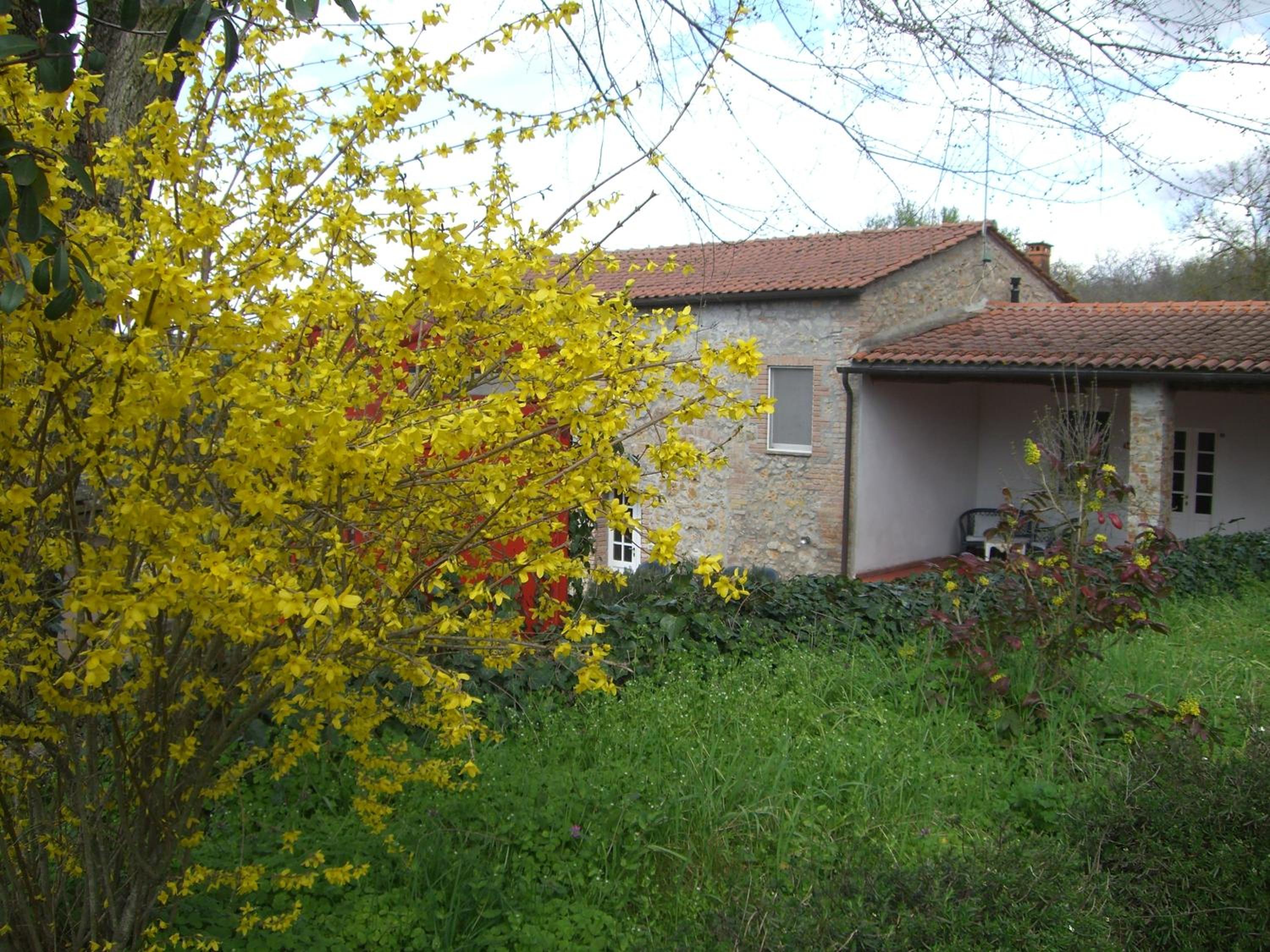 Photo 37
