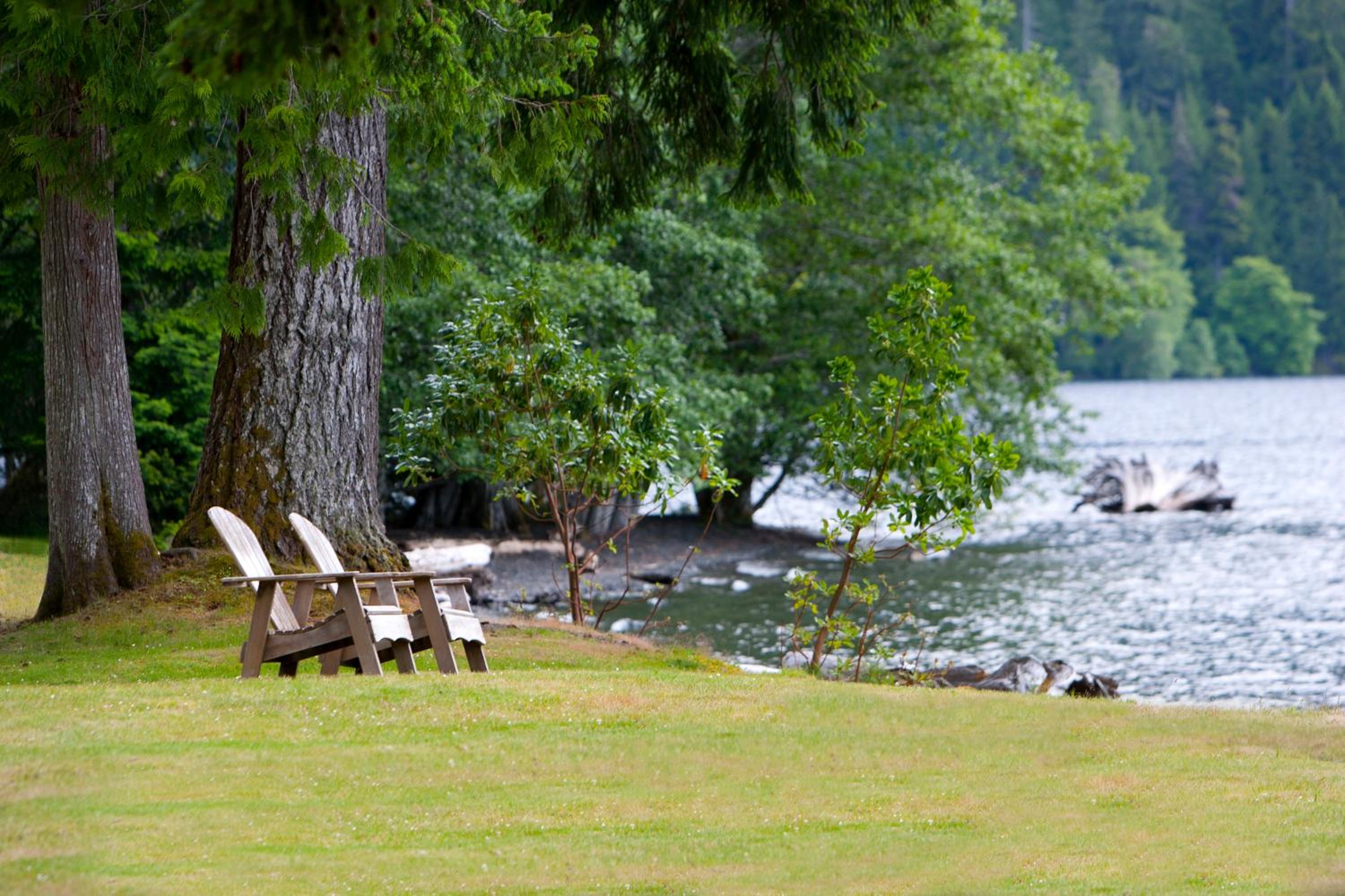 Lake Crescent Lodge view 4