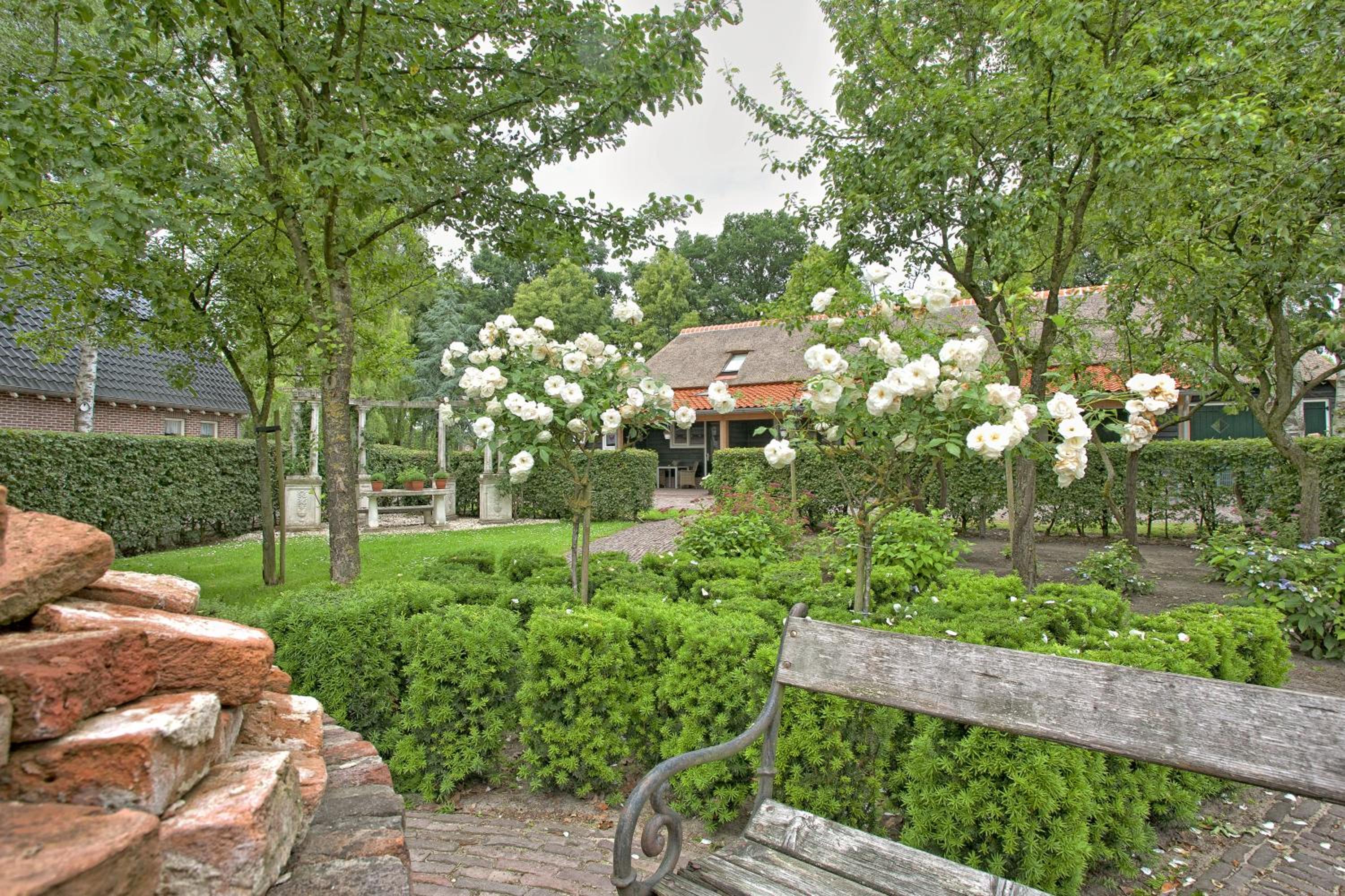 Photo 46