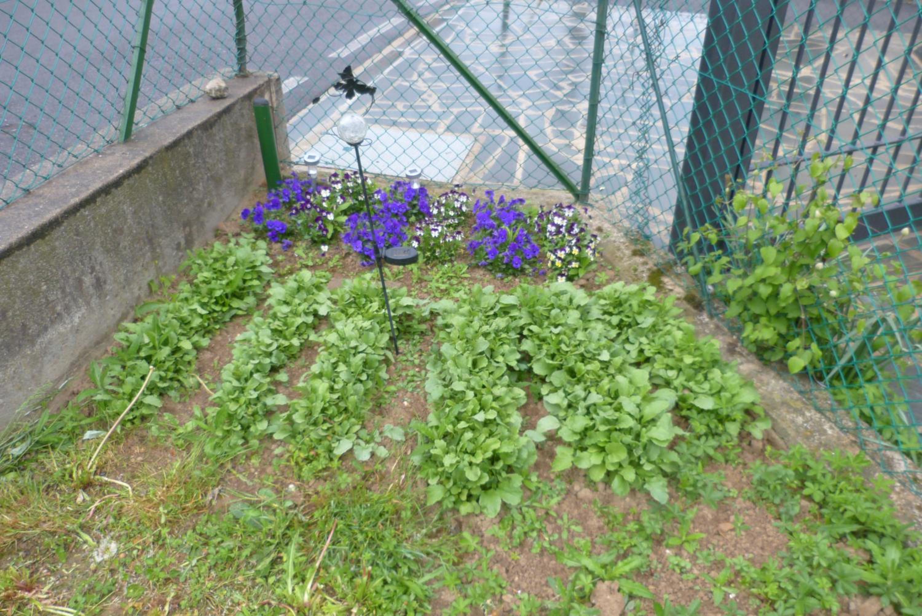 Photo 49