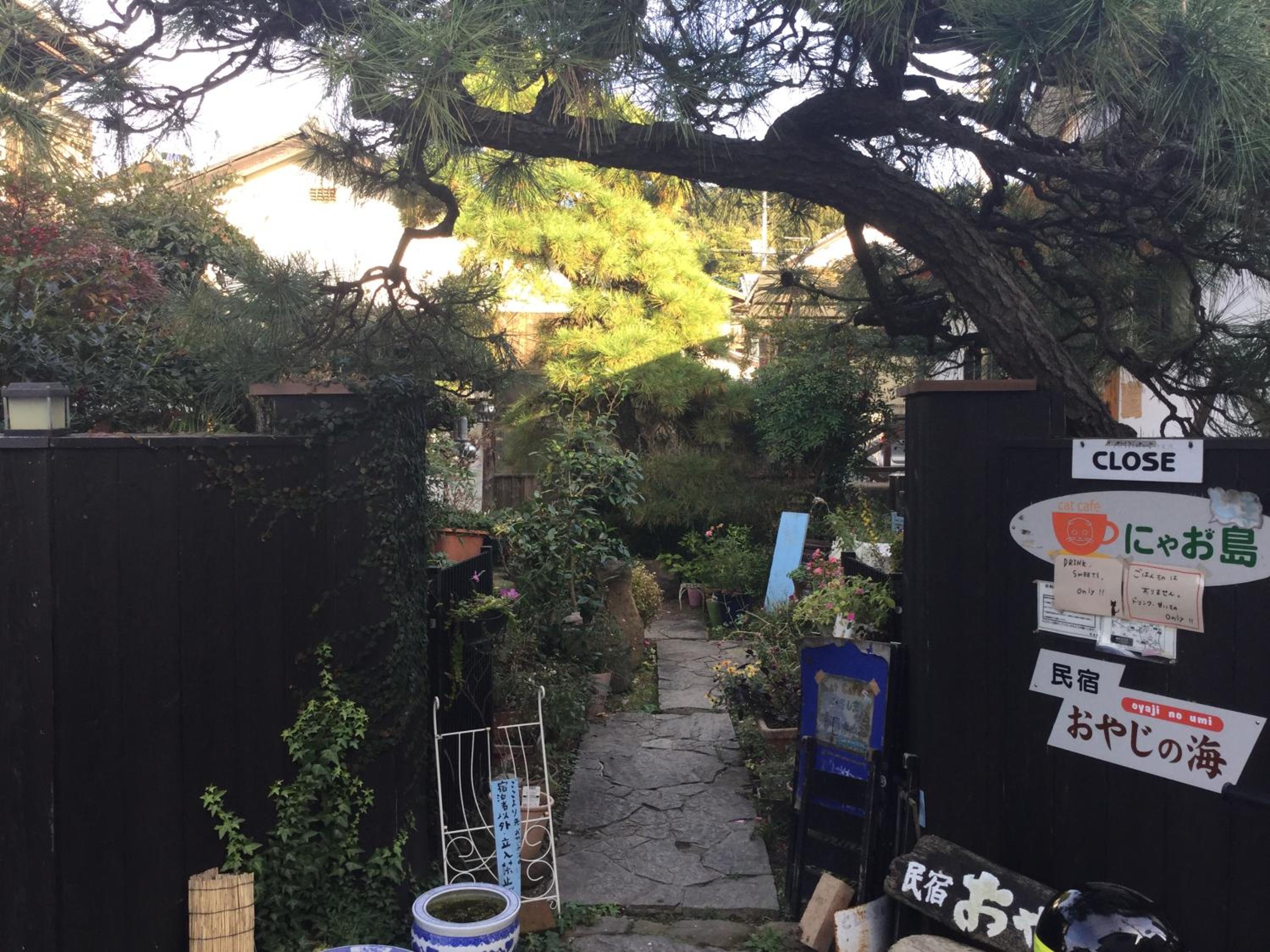 Photo 41