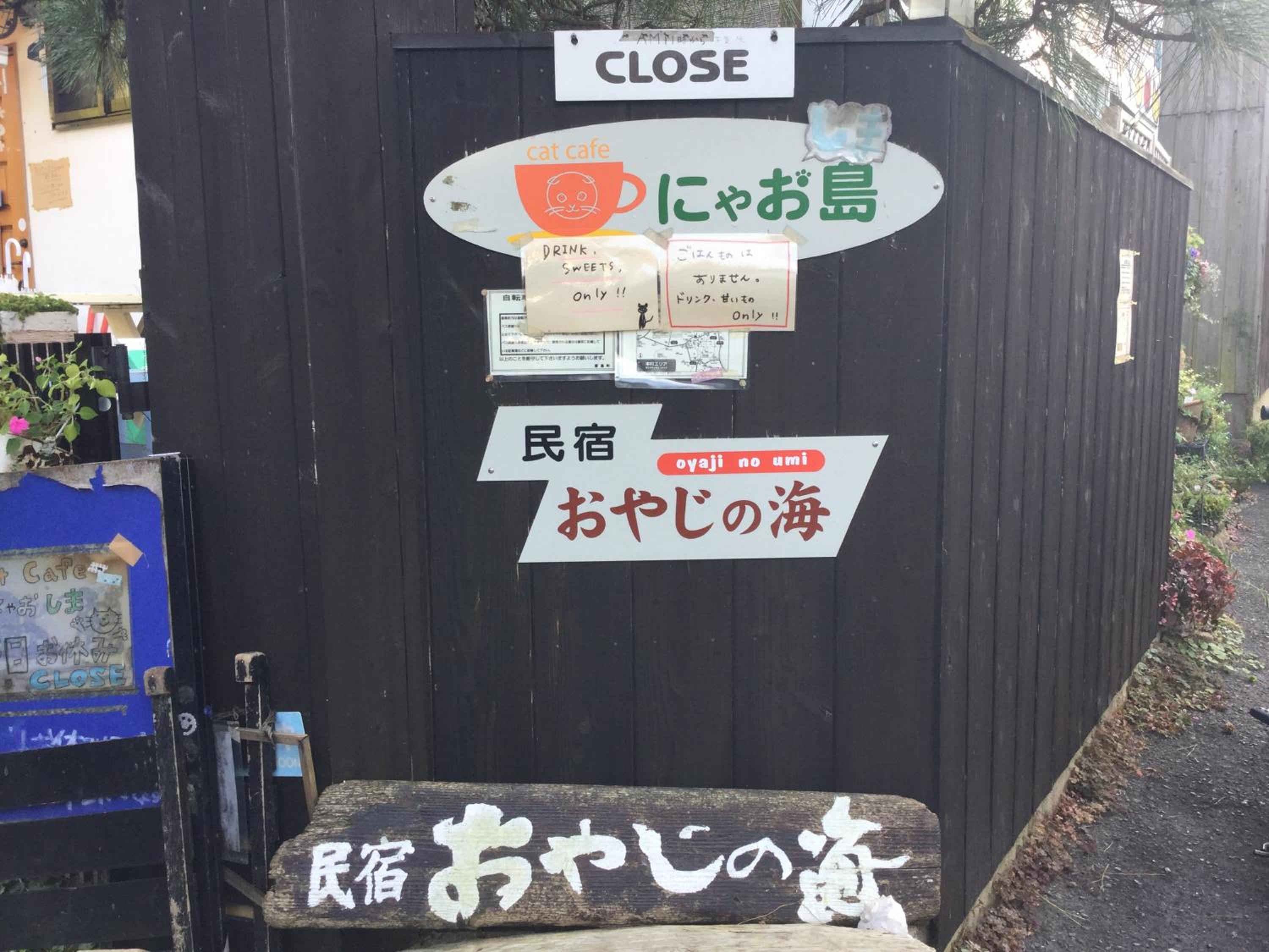 Photo 47